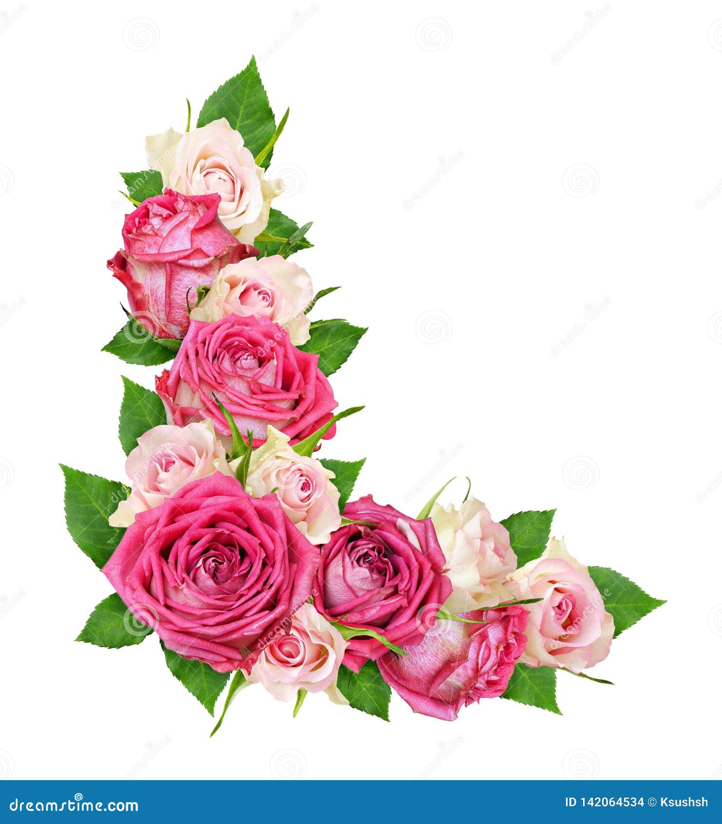 Flores Color De Rosa Hermosas Del Rosa Y Blancas En Un Arreglo De La Esquina Foto de archivo - Imagen de aislado, oferta: 142064534 Flores Color De Rosa Hermosas Del Rosa Y Blancas En Un Arreglo De La Esquina Foto de archivo - Imagen de aislado, oferta: 142064534