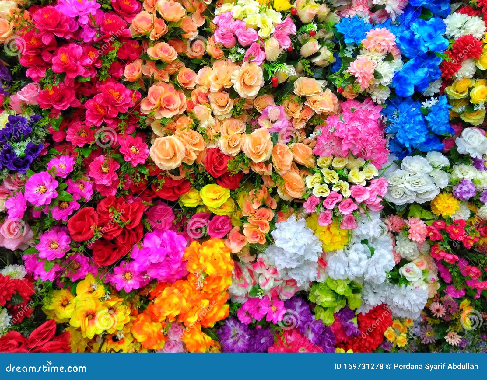 Flores Coloridas En Una Floristería Foto de archivo - Imagen de flor,  departamento: 169731278