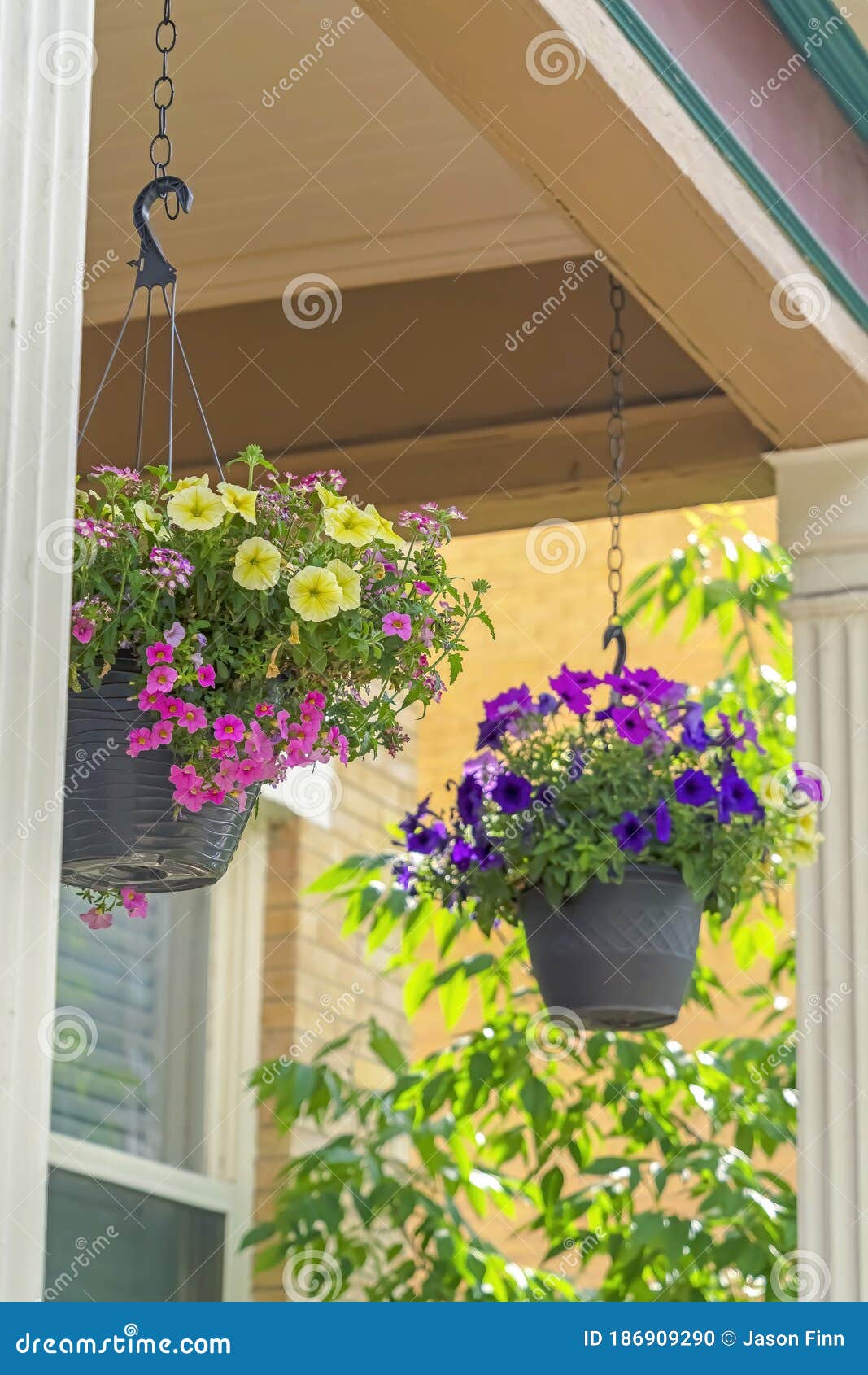 Flores Coloridas Penduradas Em Correntes Na Varanda De Uma Casa Adorável  Foto de Stock - Imagem de casa, vistas: 186909290