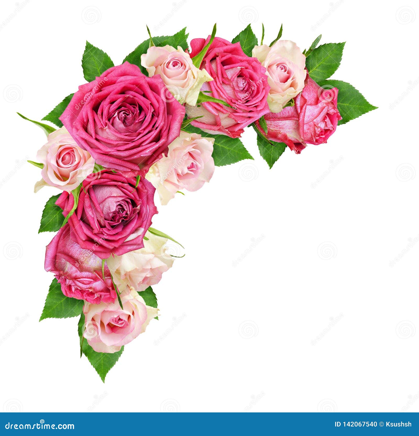 Flores Cor-de-rosa Bonitas Do Rosa E As Brancas Em Um Arranjo De Canto Foto de Stock - Imagem de branco, canto: 142067540 Flores Cor-de-rosa Bonitas Do Rosa E As Brancas Em Um Arranjo De Canto Foto de Stock - Imagem de branco, canto: 142067540
