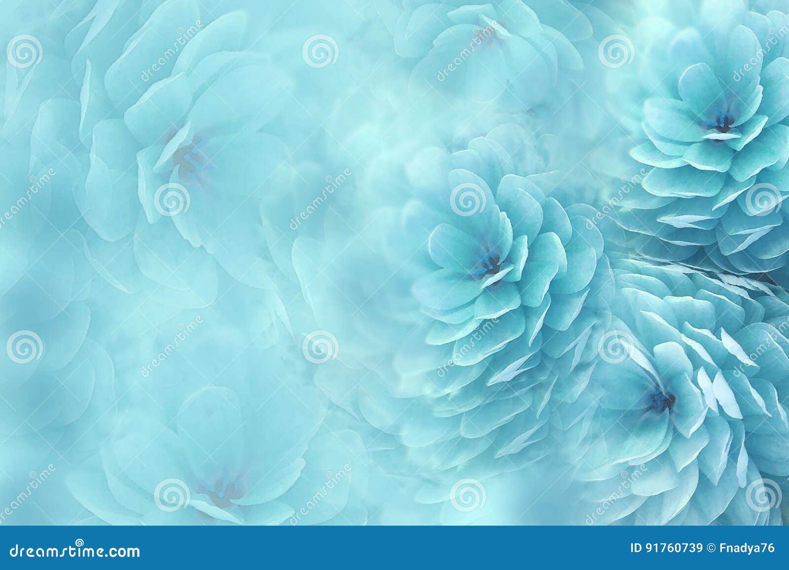 Flores Da Aquarela No Fundo Obscuro De Turquesa a Azul-turquesa Floresce O  Crisântemo Colagem Floral Composição Da Flor Imagem de Stock - Imagem de  crisântemo, imprimir: 91760739