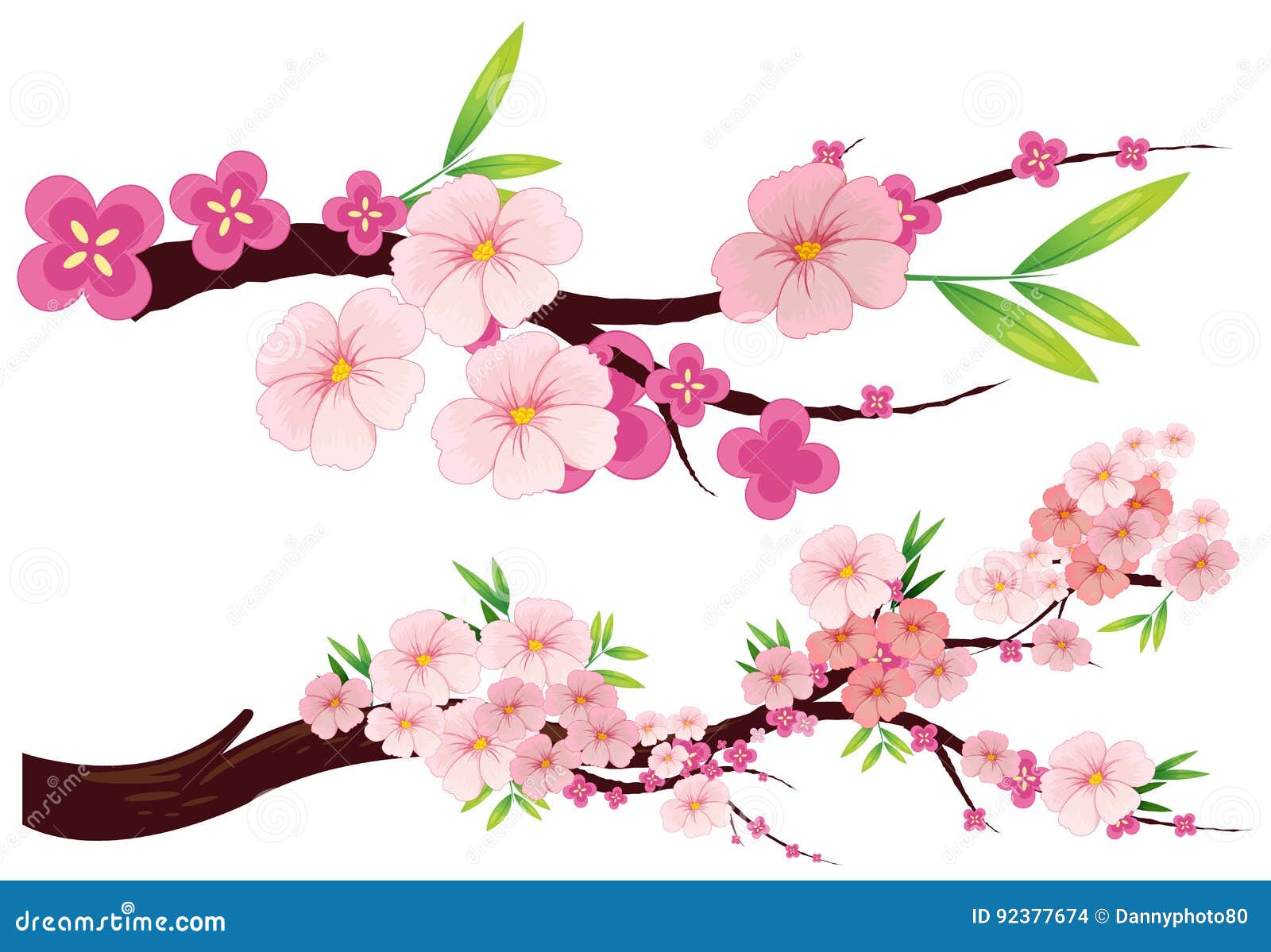 Flores Da Flor De Cerejeira Em Ramos Ilustracao Do Vetor Ilustracao De Cerejeira Flor 92377674