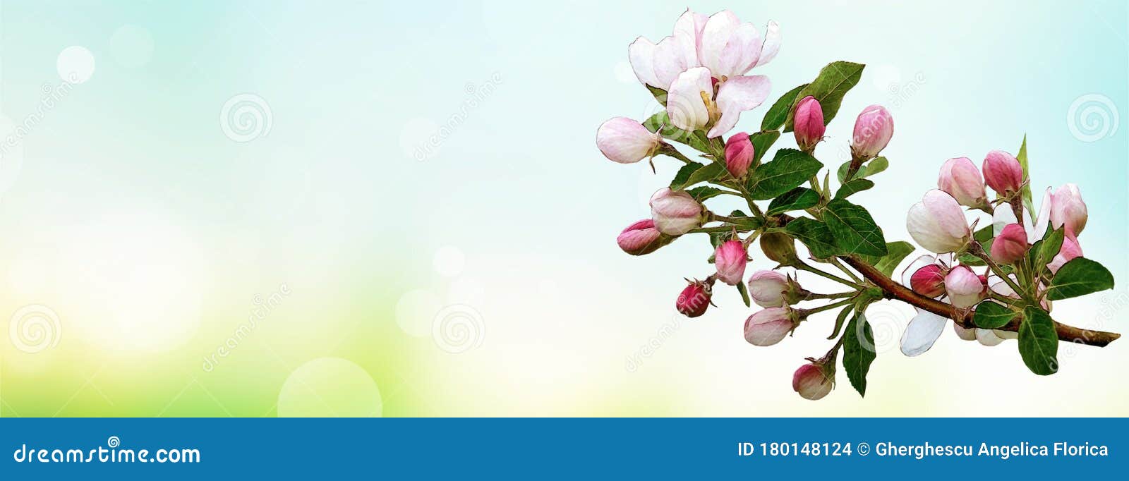 Flores Da Primavera Na Capa Do Facebook De Fundo Aquático Ilustração Stock  - Ilustração de beleza, bandeiras: 180148124