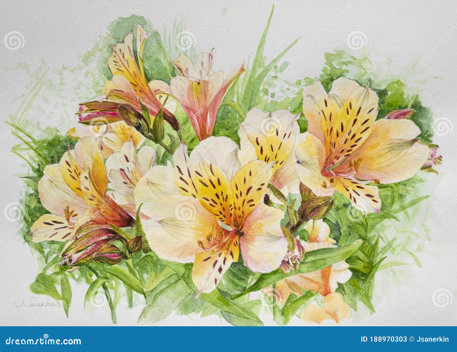 Flores De Alstroemeria Amarela E Laranja, Aquarela Imagem de Stock - Imagem  de planta, folha: 188970303