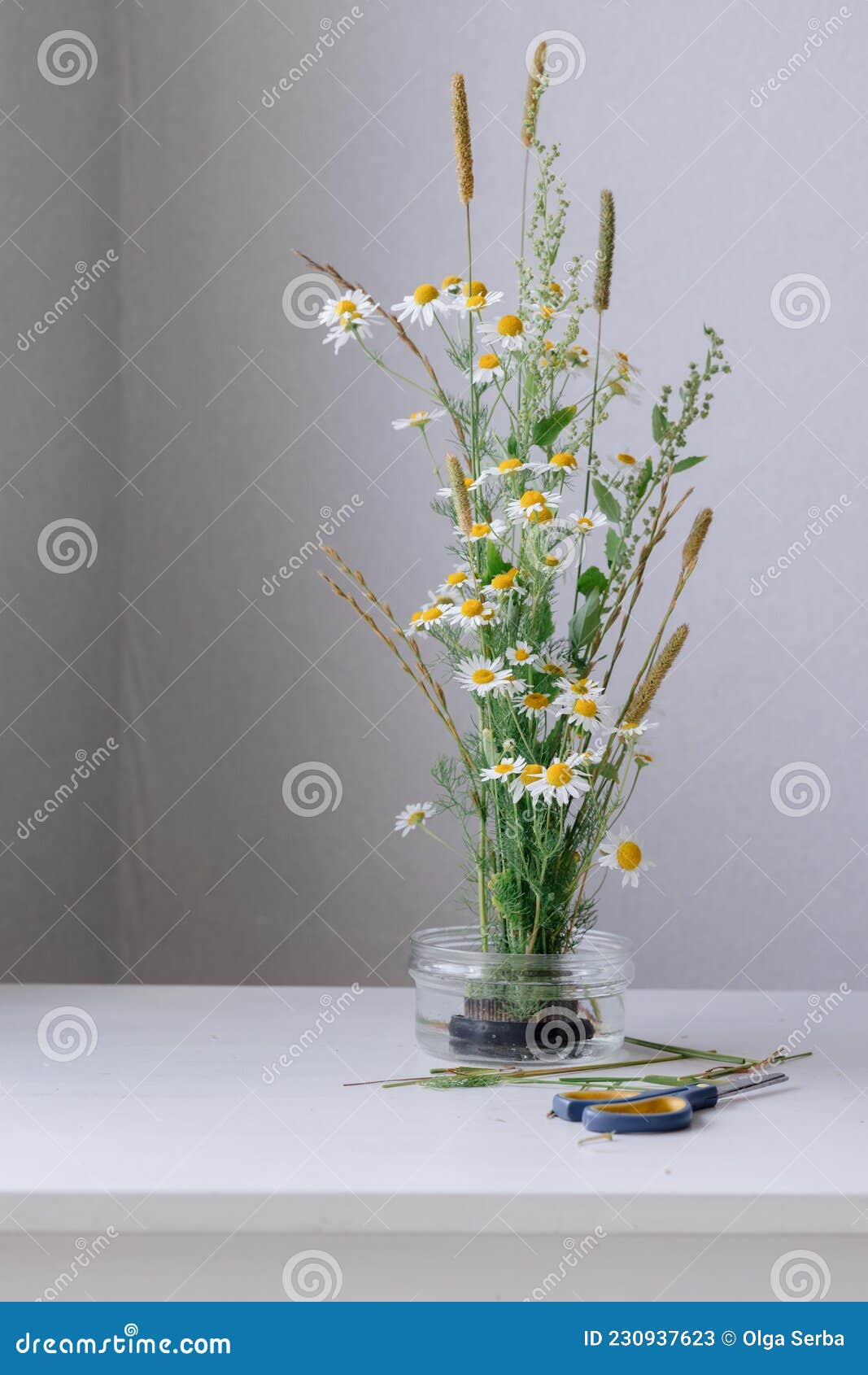 Flores De Camomila No Buquê De Noivas Ou Como Presente Para Uma Mulher. Um  Buquê De Margaridas Para Um Presente De Aniversário Ou Imagem de Stock -  Imagem de imune, gramado: 230937623