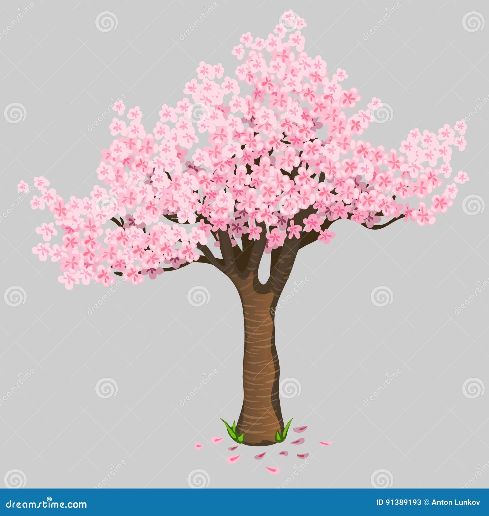 Flores De Cerejeira Bonitas Da árvore Sakura Delicado Ilustração do Vetor -  Ilustração de jardim, filial: 91389193