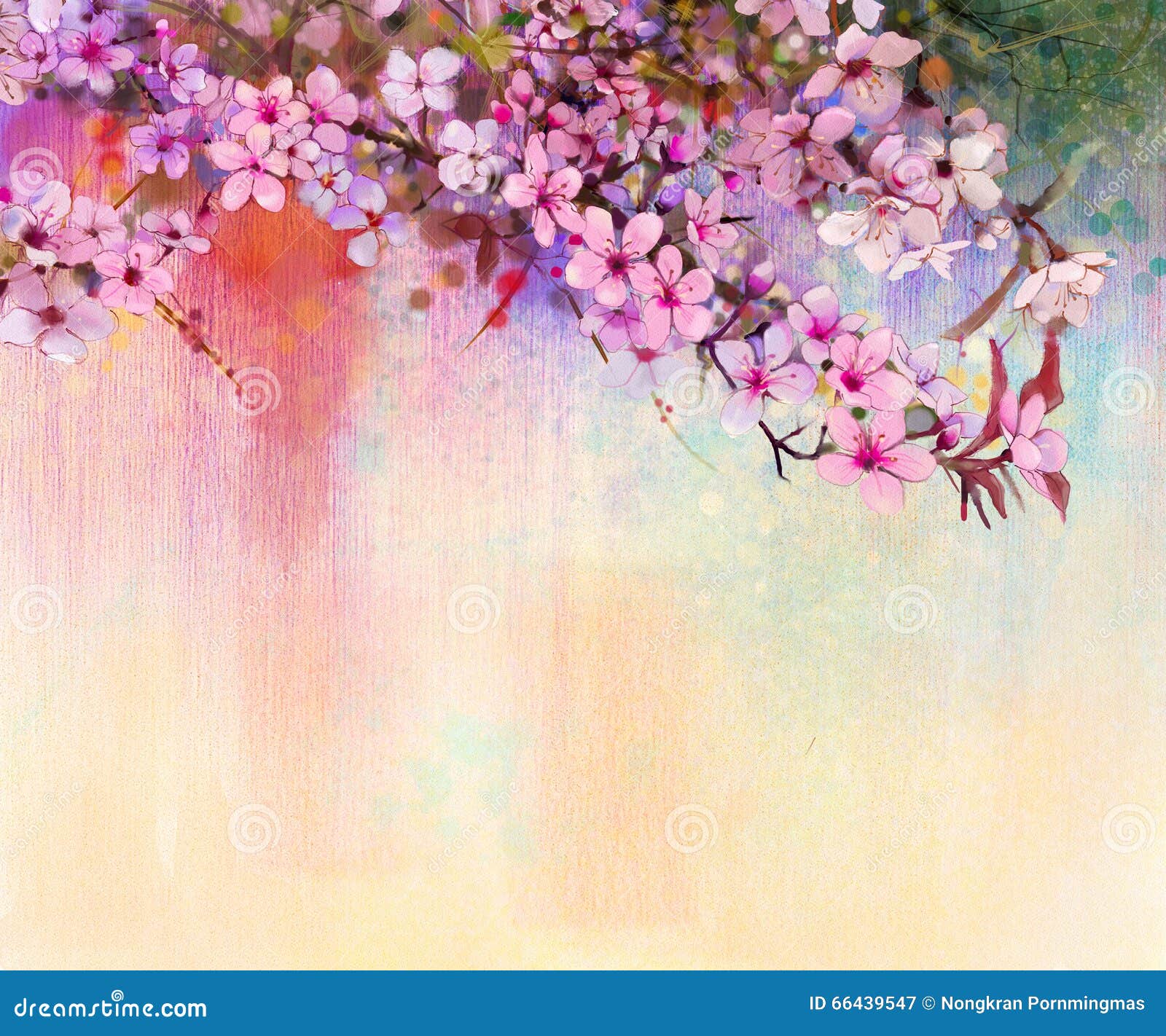 Flores De Cerezo De La Pintura De Acuarela, Cereza Japonesa, Sakura Rosado de ilustración - Ilustración cereza, ilustraciones: 66439547