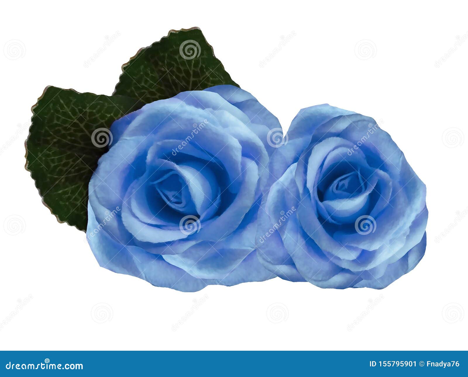 Flores De La Acuarela De Rosas En Un Fondo Blanco Rosas Azules