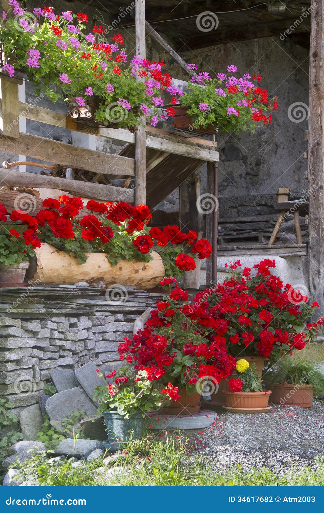 Flores de la cabaña foto de archivo. Imagen de pink, decorativo - 34617682