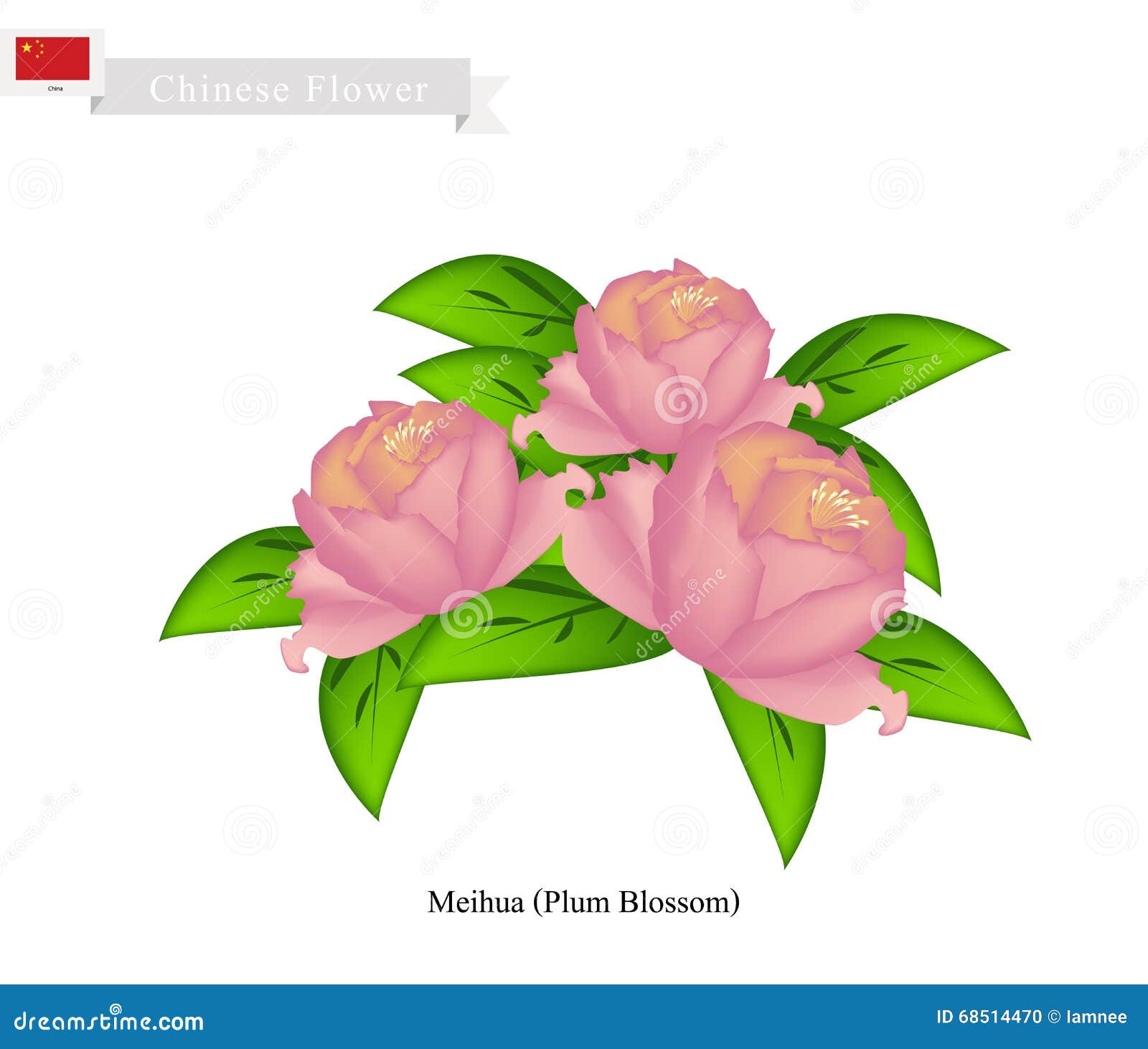 Flores De La Peonía, La Flor Nacional De China Ilustración del Vector -  Ilustración de cubo, rosa: 68514470