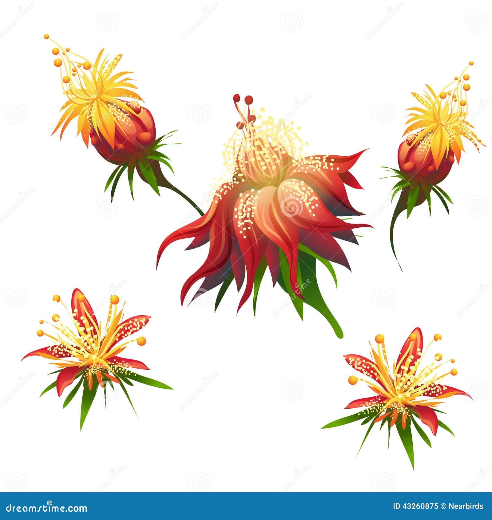 Flores de la selva ilustración del vector. Ilustración de hoja - 43260875, image size:1600x1690