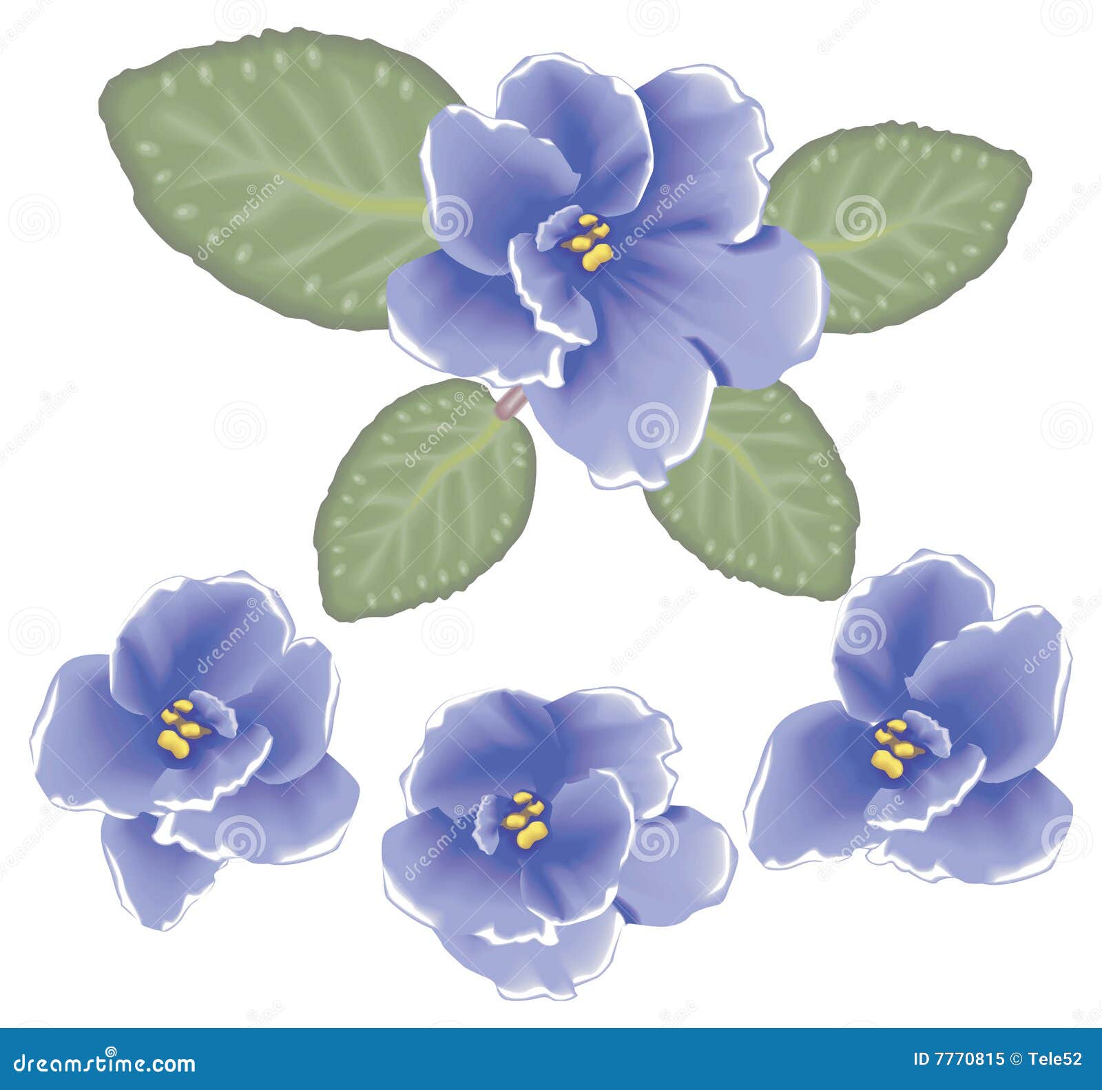 Flores De La Violeta Del Vector Ilustración del Vector - Ilustración de  bulbo, calma: 7770815