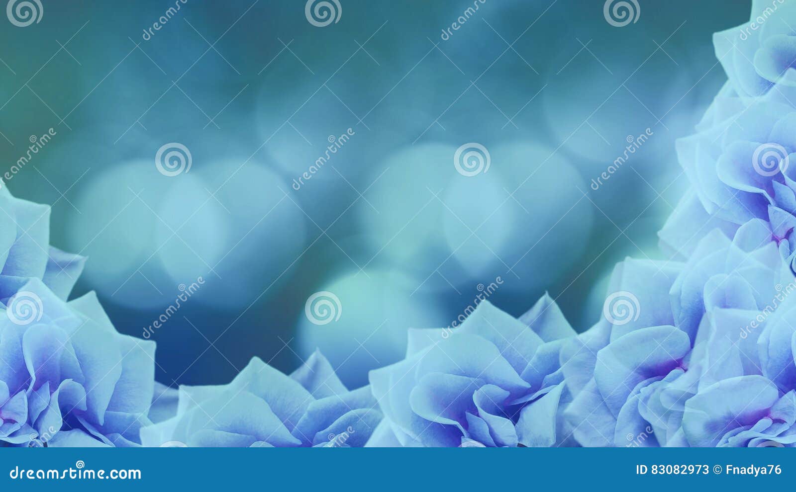 Flores De Las Rosas De Los Azules Turquesa En Fondo Borroso De Los Azules  Turquesa Fondo Floral Papel Pintado De La Turquesa Para Stock de  ilustración - Ilustración de rosas, pista: 83082973