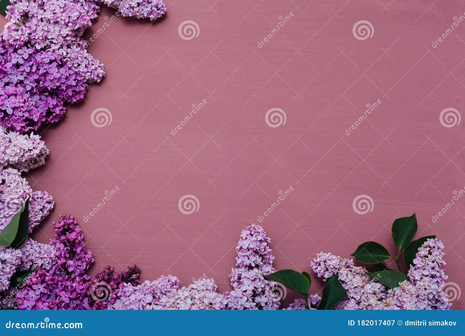 Flores De Lila En Flor De Primavera Sobre Fondo Morado Imagen de archivo -  Imagen de lavanda, modelo: 182017407