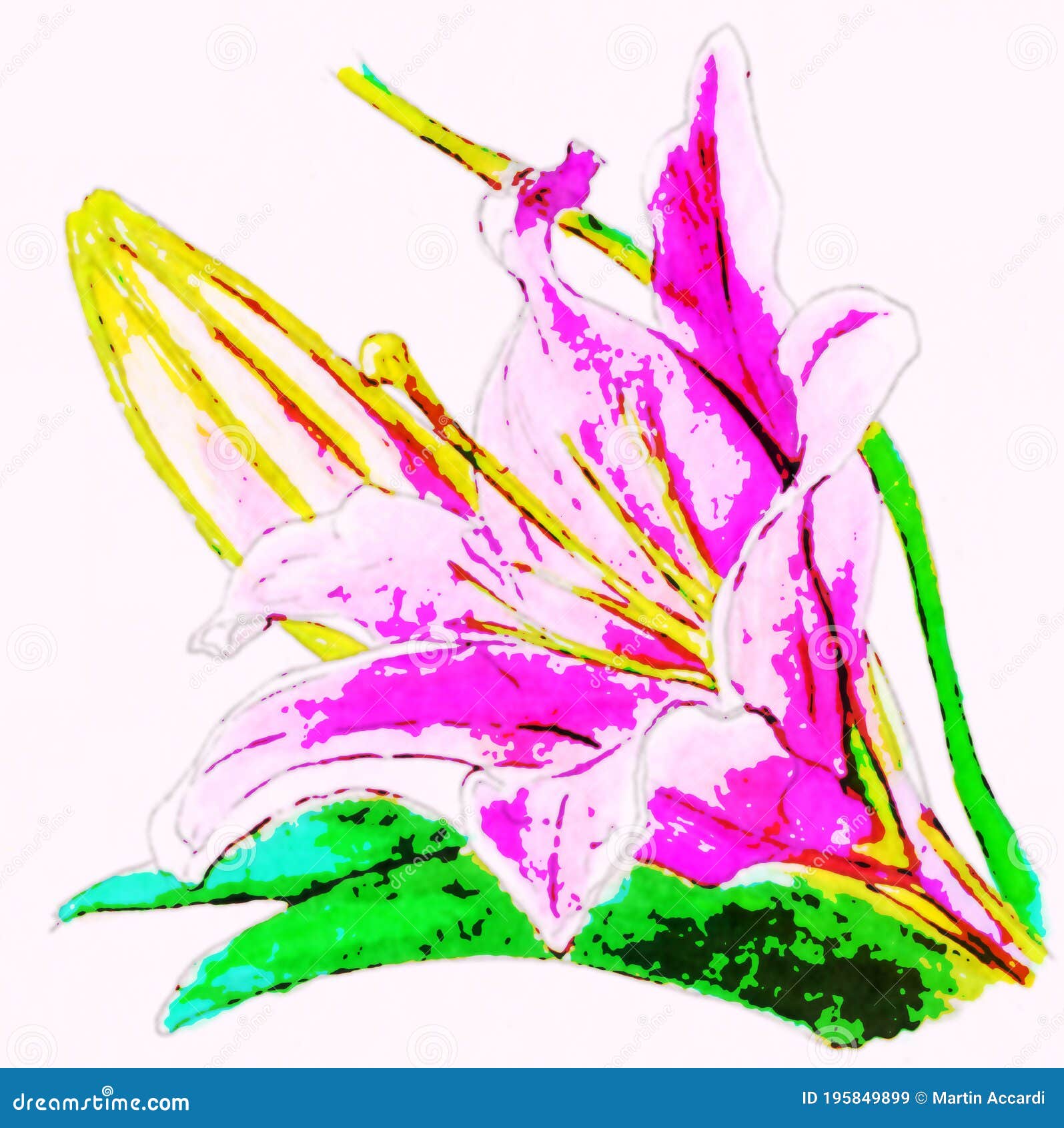 Flores De Litio Orientales Dibujos Hechos a Mano Flores Exóticas Color De Agua Rosa Stock de ilustración - Ilustración de flor, handmade: 195849899 Flores De Litio Orientales Dibujos Hechos a Mano Flores Exóticas Color De Agua Rosa Stock de ilustración - Ilustración de flor, handmade: 195849899