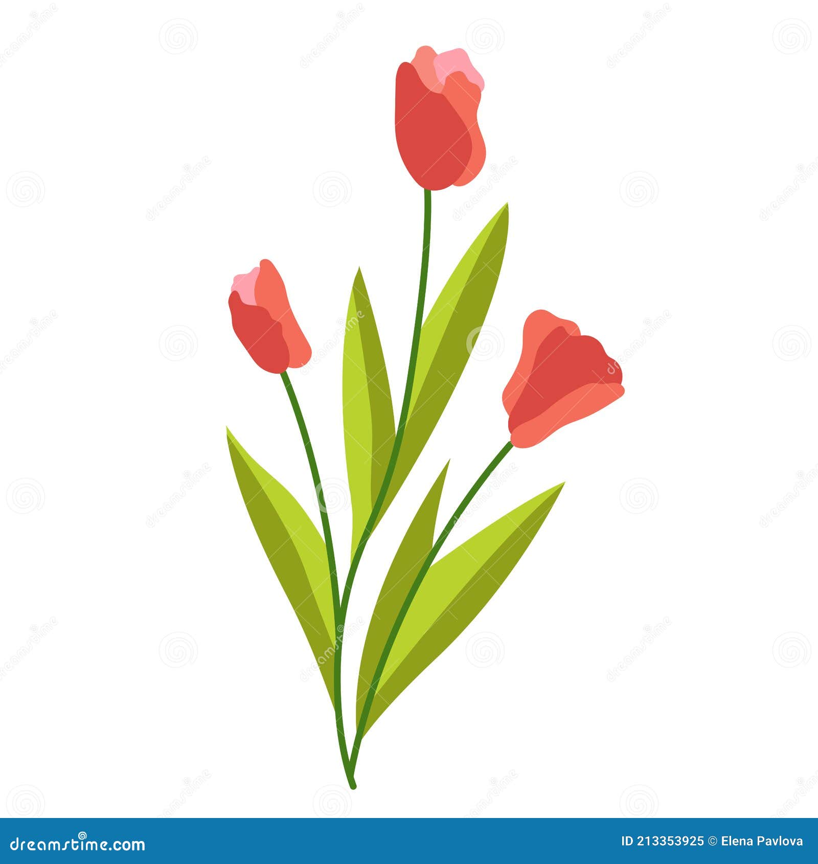 Flores De Pascua. Ilustración De Tulipanes De Primavera Sobre Fondo Blanco. Flores De Primavera. Plantas Bulbosas. Elemento De Dis Ilustración del Vector - Ilustración de rosa, hermoso: 213353925 Flores De Pascua. Ilustración De Tulipanes De Primavera Sobre Fondo Blanco. Flores De Primavera. Plantas Bulbosas. Elemento De Dis Ilustración del Vector - Ilustración de rosa, hermoso: 213353925
