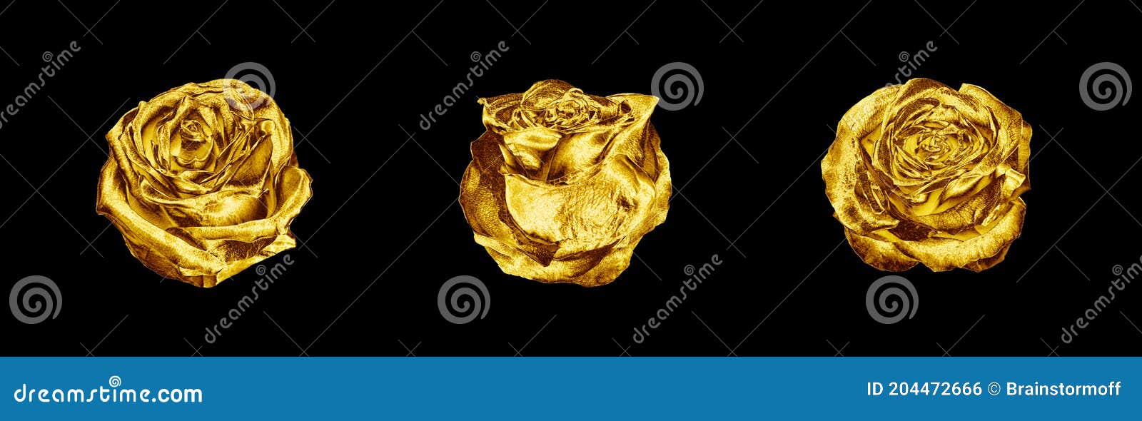 Flores De Rosa Dourado Colam Fundo Preto Isolado Três Rosas Douradas Cinza  Cabeça De Metal Amarelo Brilhante Desenho Decorativo Foto de Stock - Imagem  de elemento, bonito: 204472666