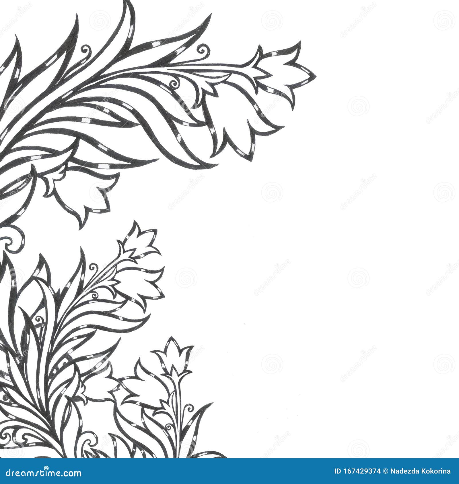 Flores De Trama Hechizos Aislar Invitación De Tarjeta De Objeto Stock de ilustración - Ilustración de plantas, modelos: 167429374 Flores De Trama Hechizos Aislar Invitación De Tarjeta De Objeto Stock de ilustración - Ilustración de plantas, modelos: 167429374