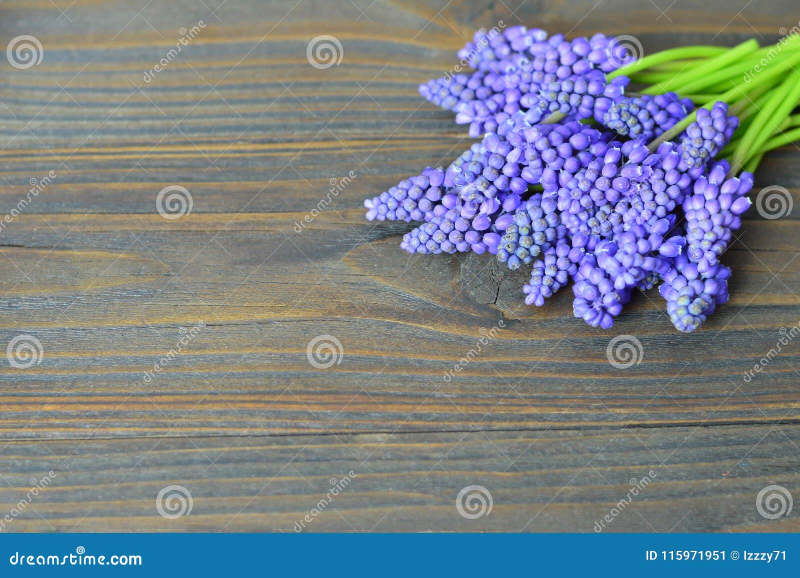 Flores Del Día De Padres En Fondo De Madera Imagen de archivo - Imagen de presente, esquina: 115971951 Flores Del Día De Padres En Fondo De Madera Imagen de archivo - Imagen de presente, esquina: 115971951