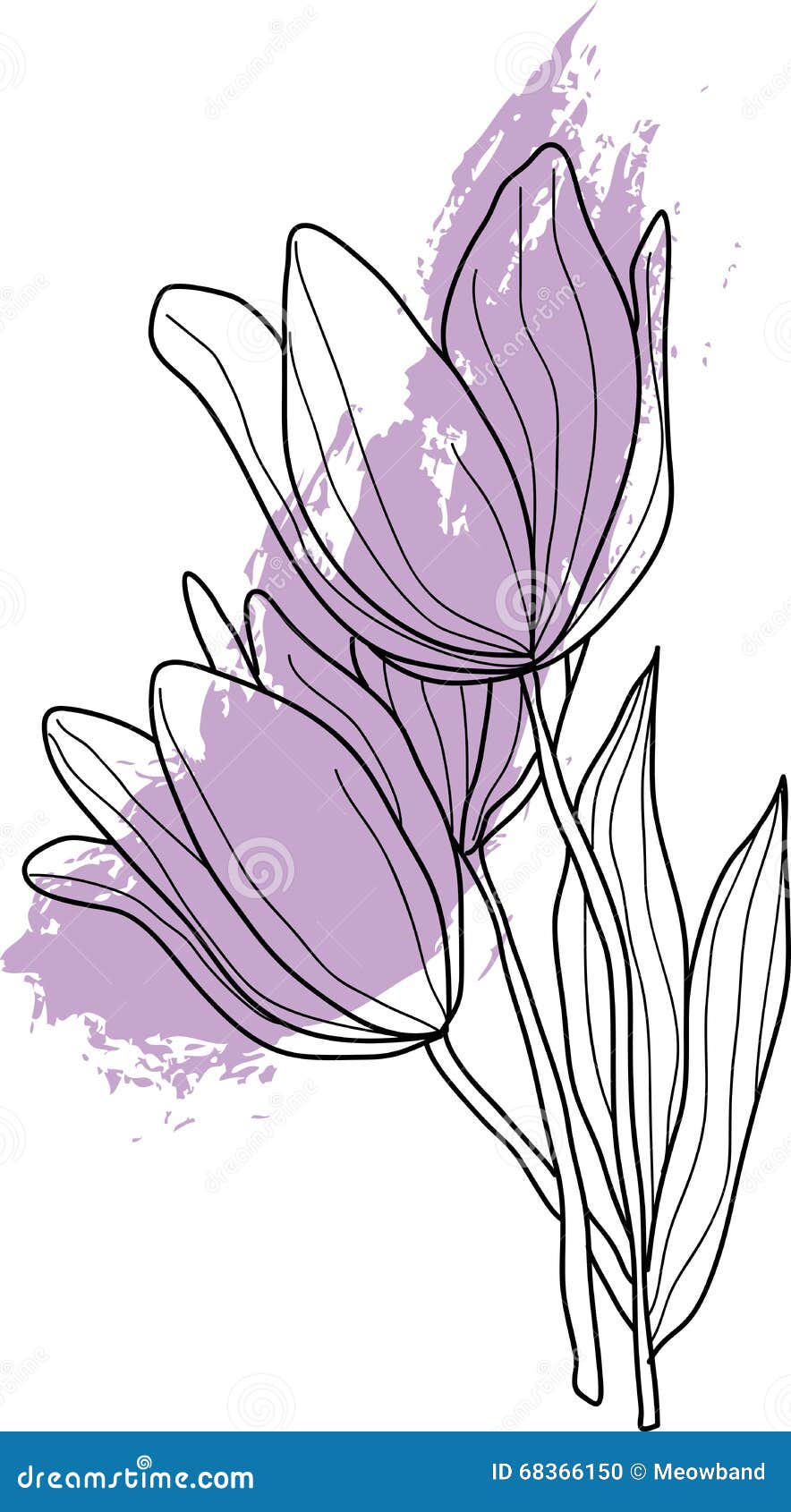 Flores Del Tulipán En Lineart Stock de ilustración - Ilustración de flores,  colorante: 68366150