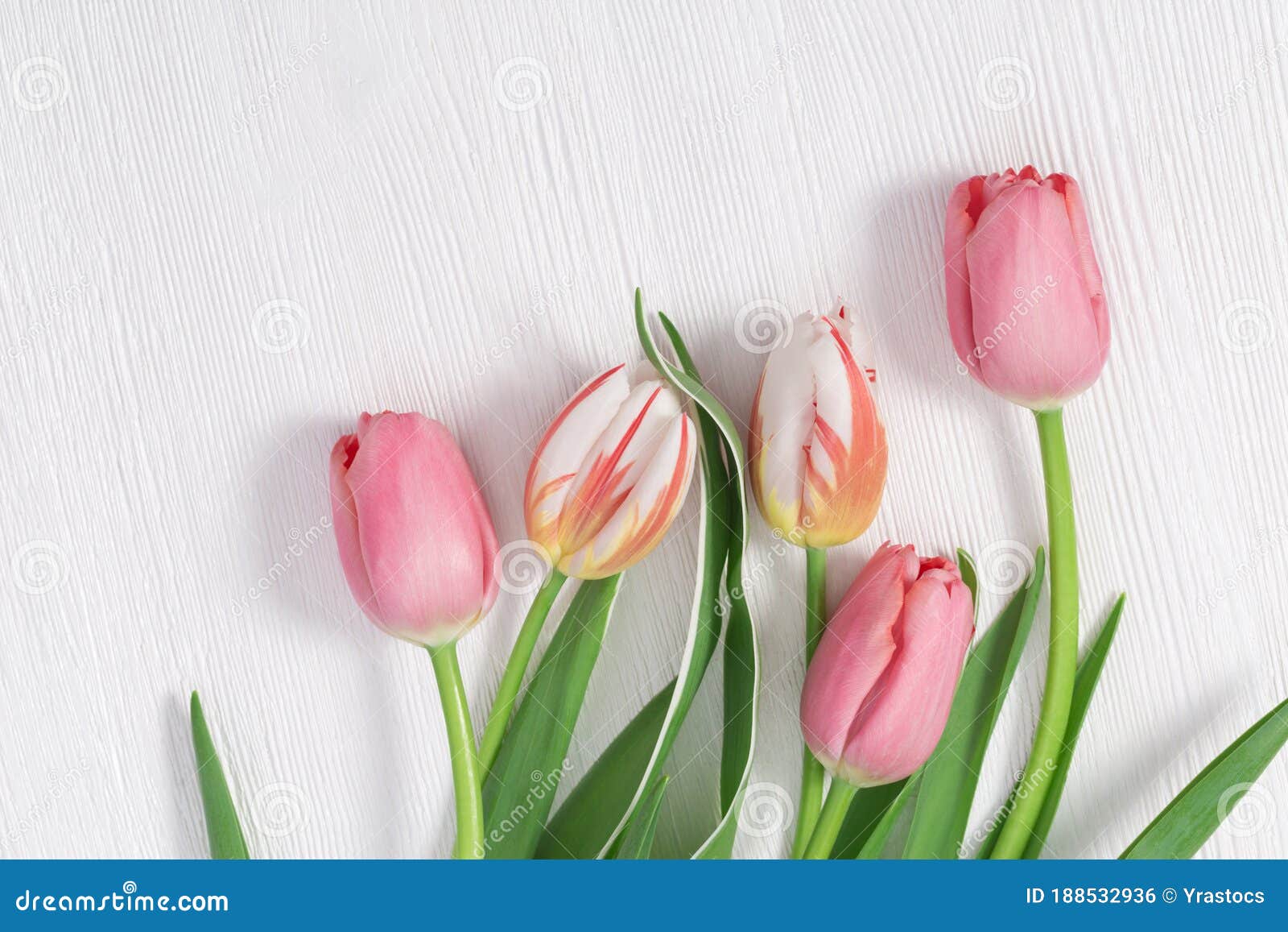 Flores Delicadas De Primavera Ramo De Colores Pastel De Tulipanes Blancos Y  Rosas Sobre Mesa De Madera Foto de archivo - Imagen de copia, romance:  188532936