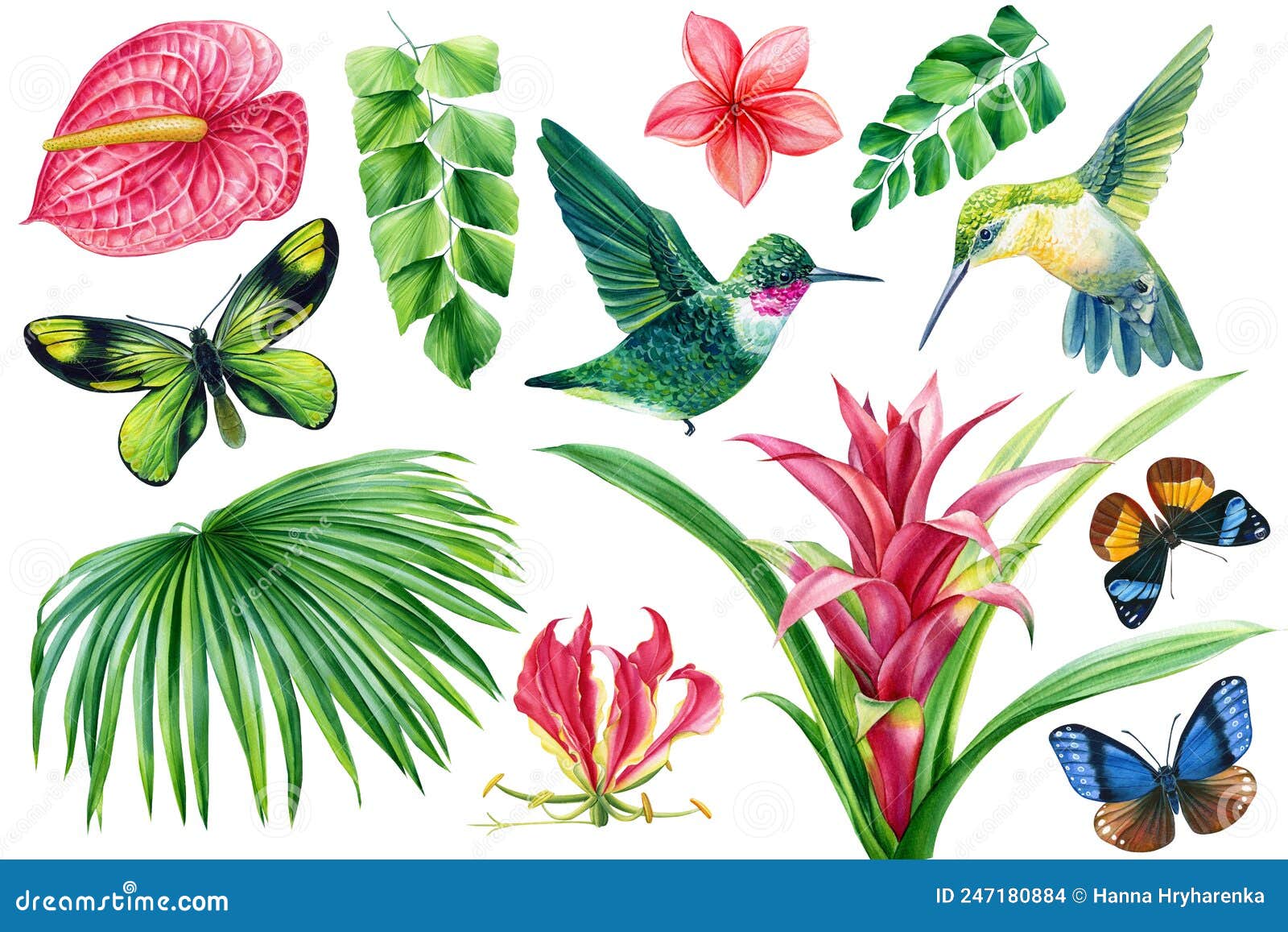 Flores Exóticas Palmeiras Folhas De Aves Tropicais Beija-flores E  Borboletas Pintadas Em Pintura De Aquarela Feita à Mão Ilustração Stock -  Ilustração de desenho, brasil: 247180884