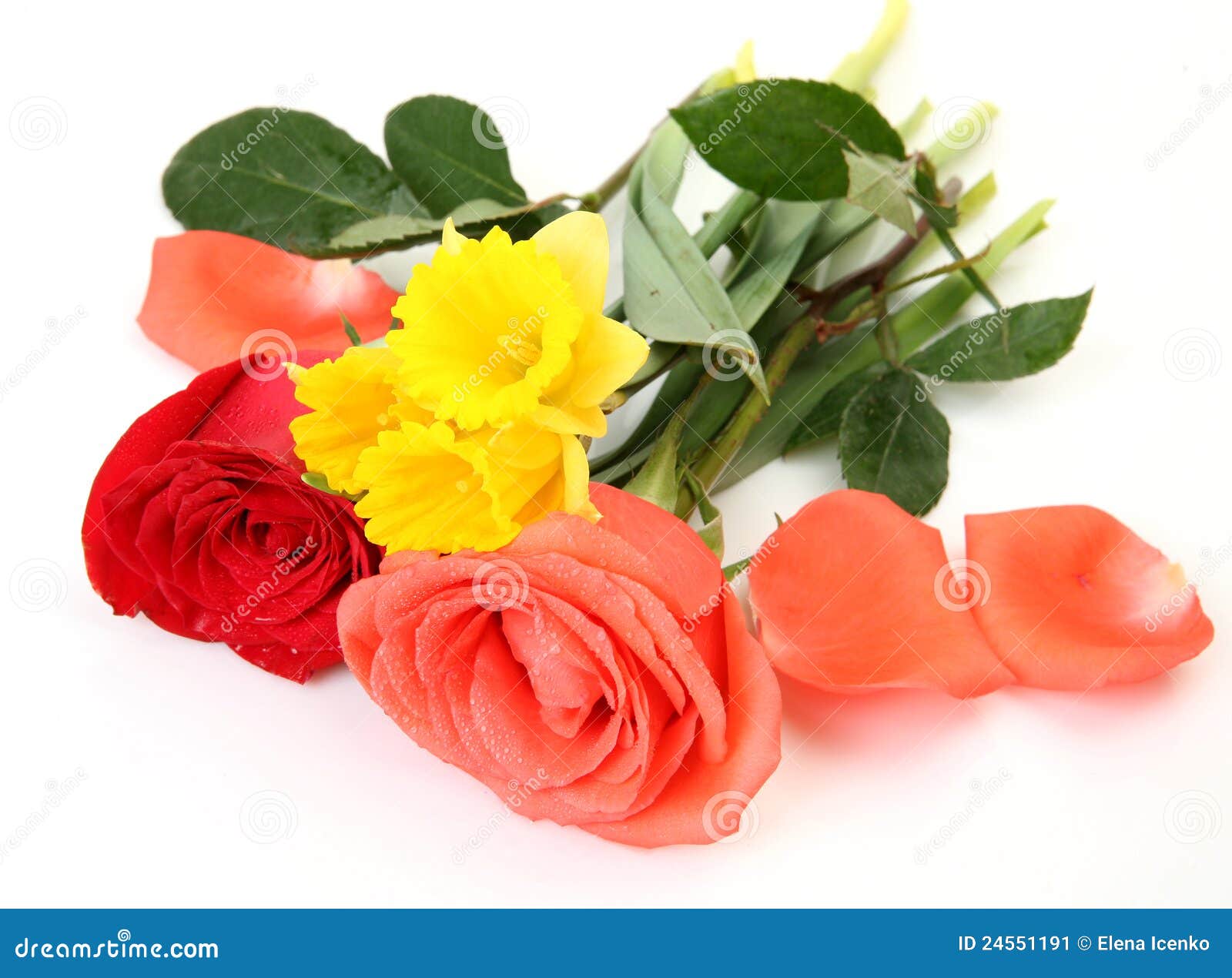 Flores finas imagen de archivo. Imagen de vegetativo - 24551191