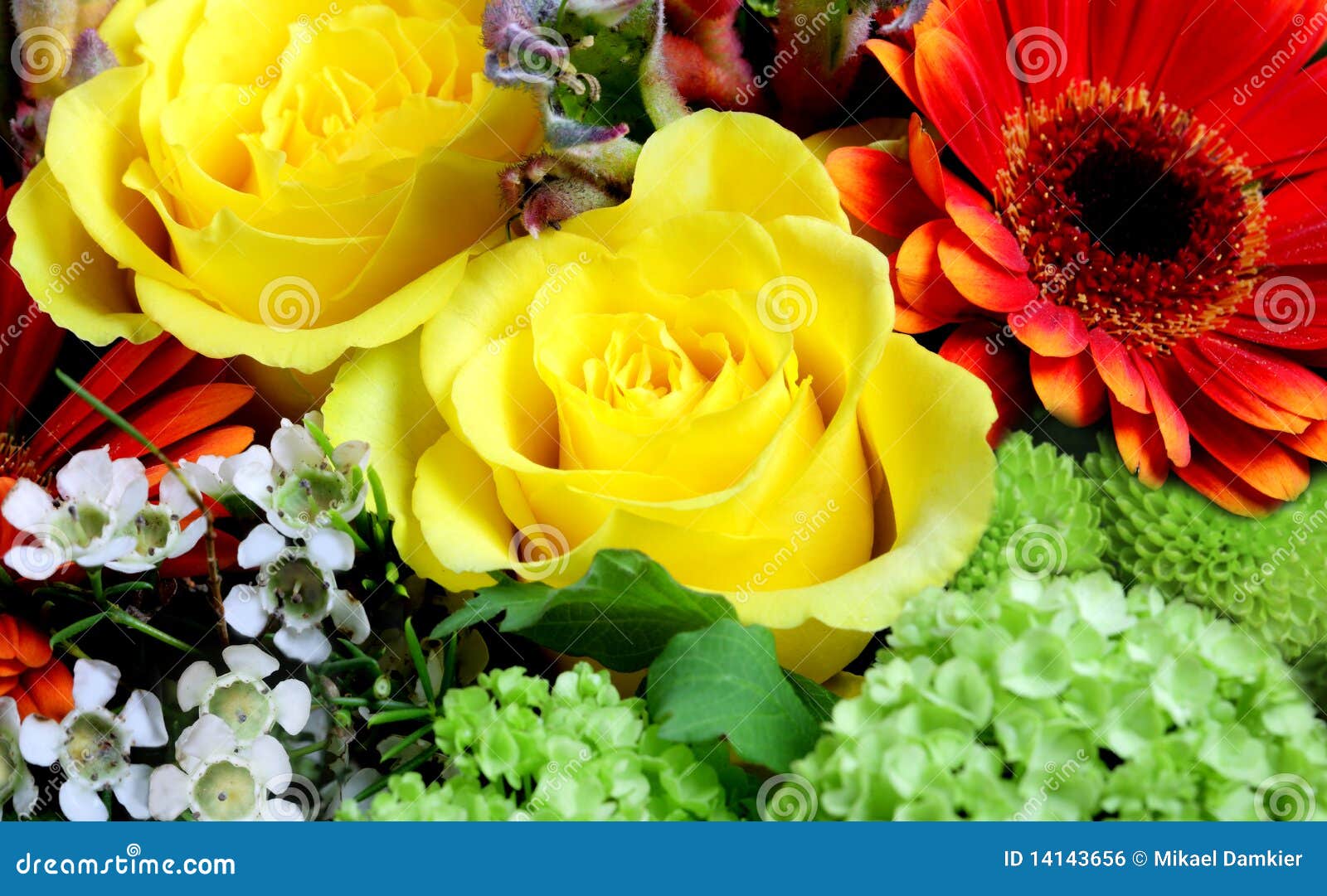 564 Flores Frescas En Un Mercado Fotos de stock - Fotos libres de regalías de Dreamstime 564 Flores Frescas En Un Mercado Fotos de stock - Fotos libres de regalías de Dreamstime