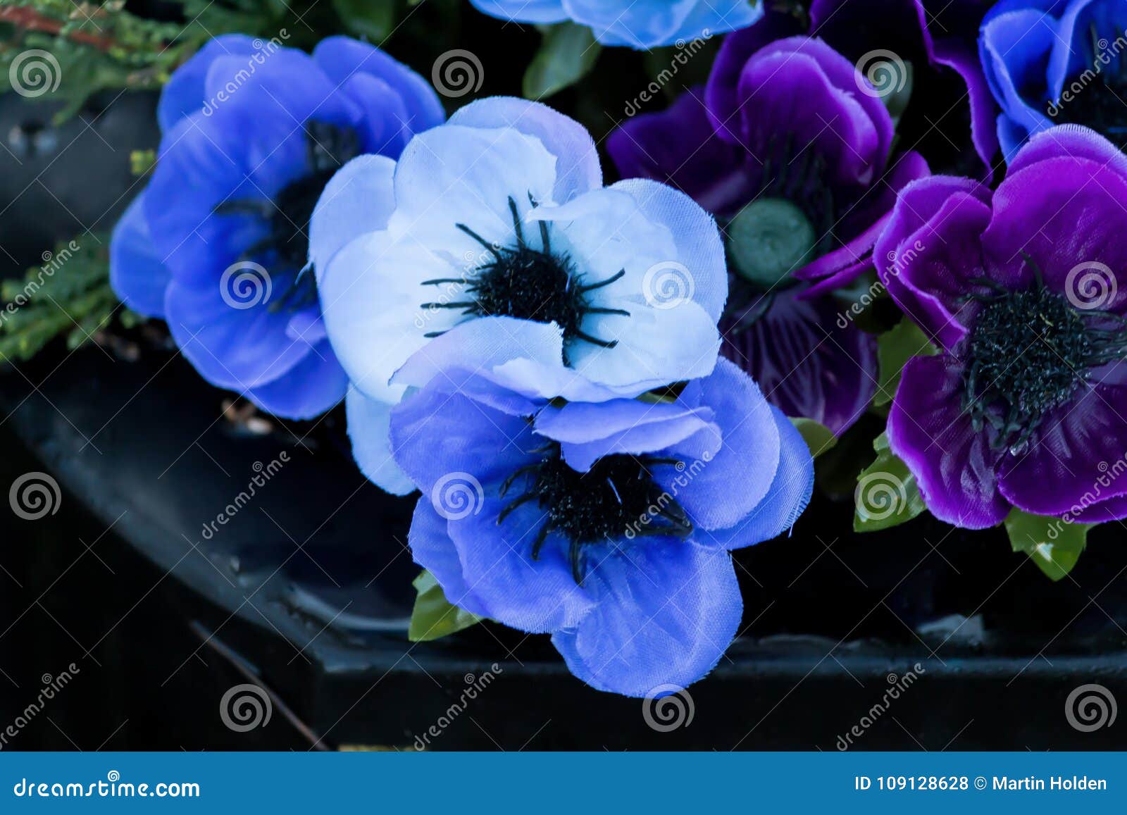 Flores Oscuras Y Azules Claras Foto de archivo - Imagen de resorte, hojas:  109128628
