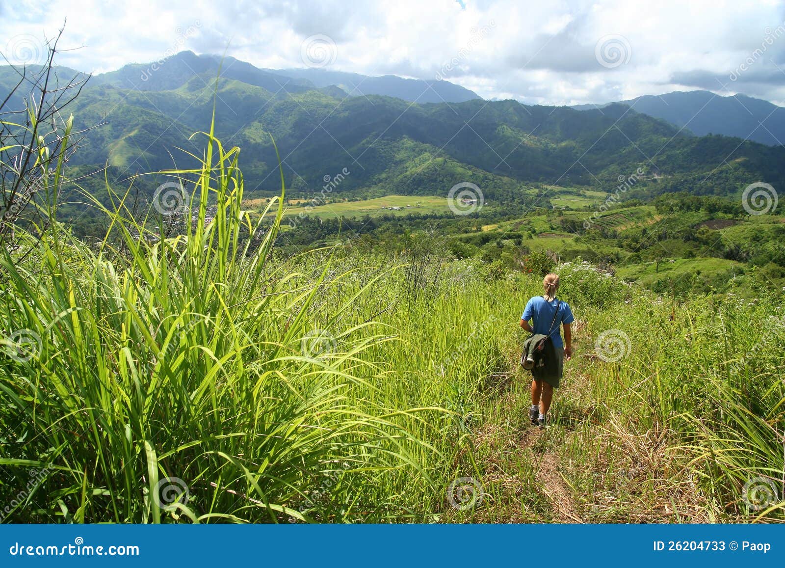 flores panorama