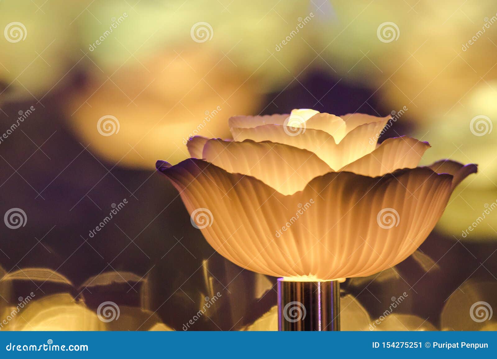 Flores Para Crear La Luz Hermosa Imagen de archivo - Imagen de rojo, noche: 154275251 Flores Para Crear La Luz Hermosa Imagen de archivo - Imagen de rojo, noche: 154275251