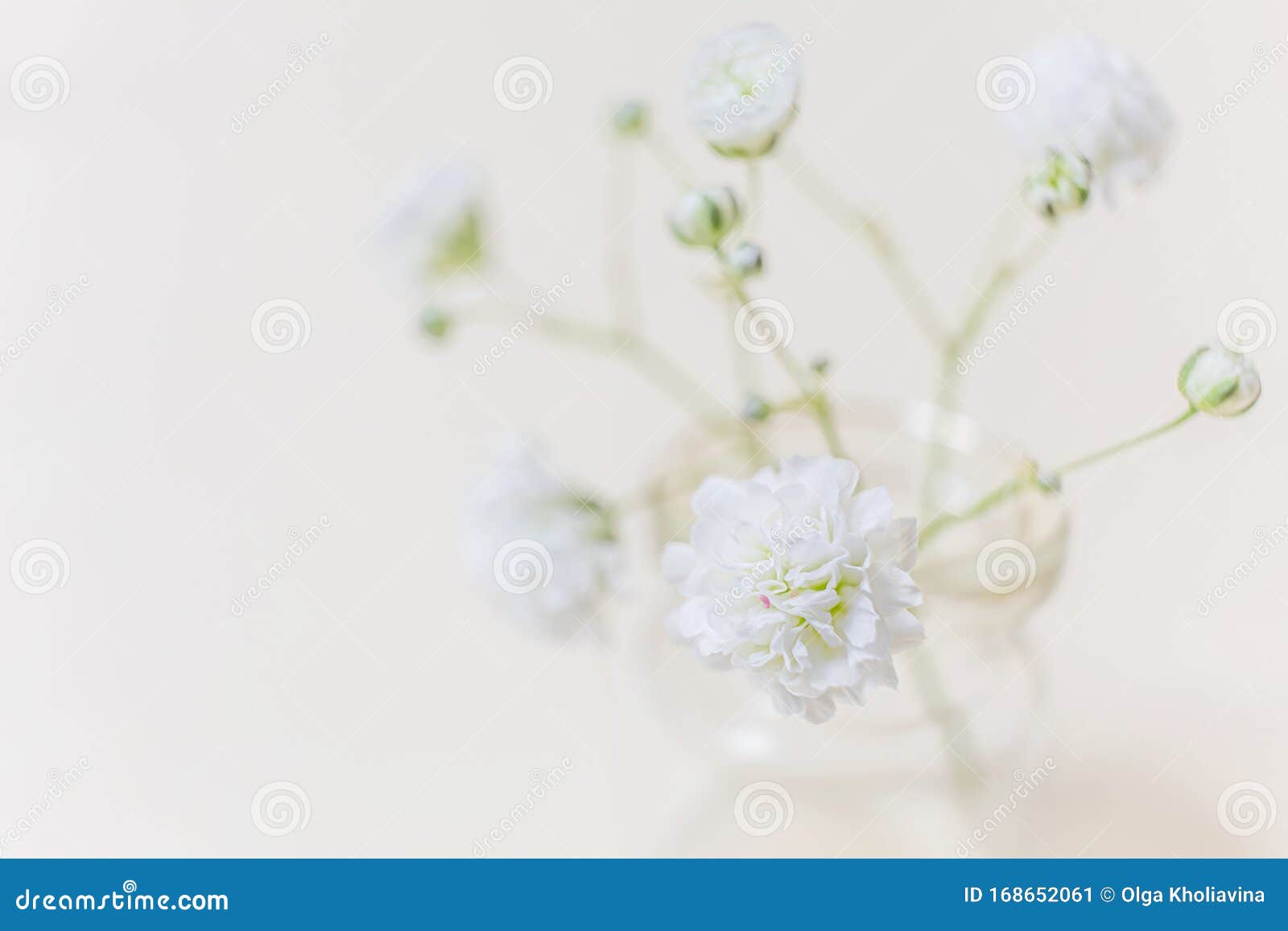 Flores Pequeñas Y Elegantes De Gypsophila Blanca Imagen de archivo - Imagen de foco, belleza: 168652061 Flores Pequeñas Y Elegantes De Gypsophila Blanca Imagen de archivo - Imagen de foco, belleza: 168652061