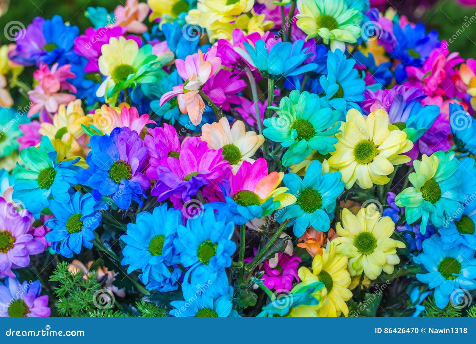 Flores Pequenas Bonitas No Jardim Foto de Stock - Imagem de presente,  paisagem: 86426470