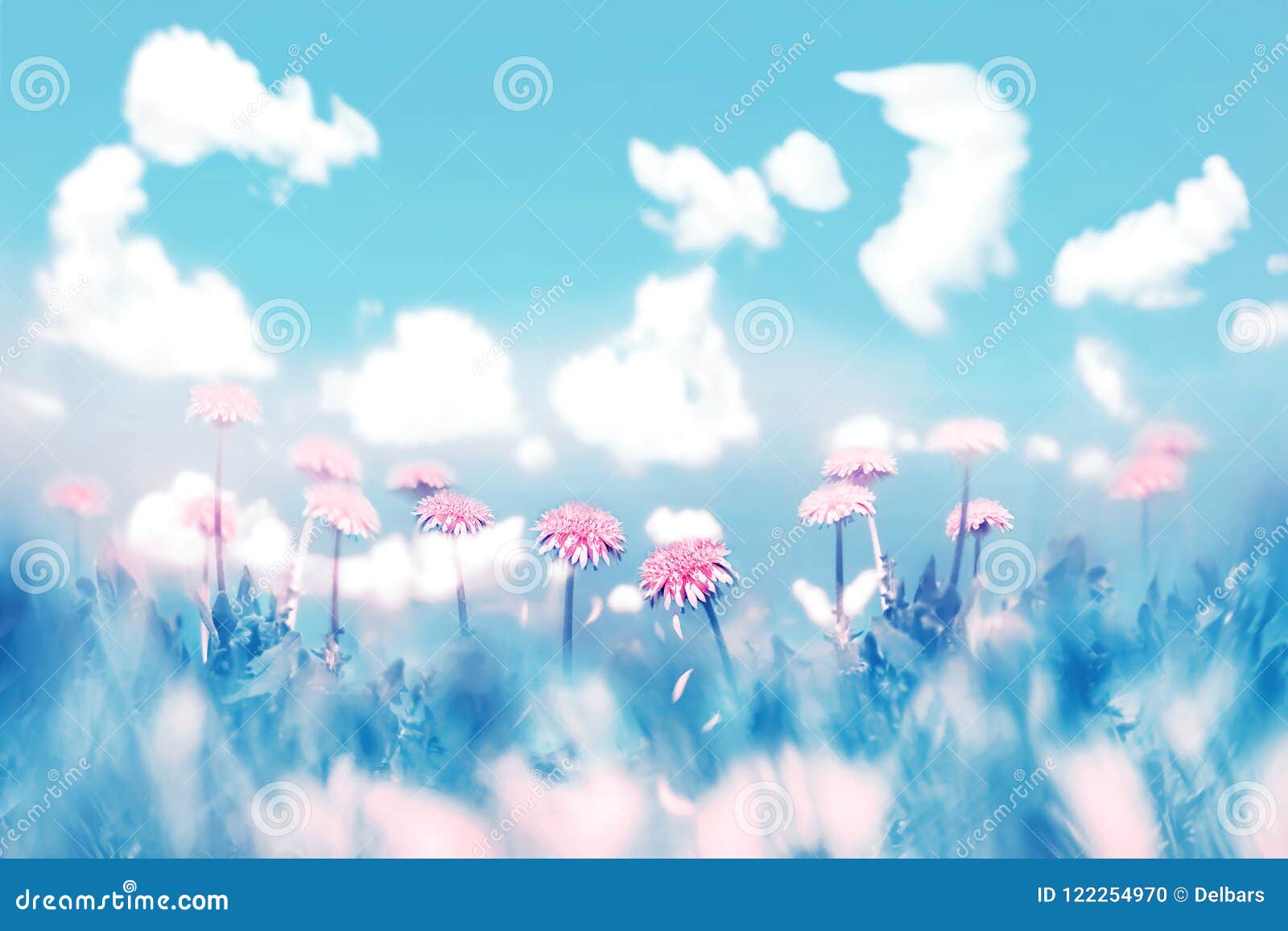 Flores Rosadas Delicadas En Fondo Del Cielo Azul Con Las Nubes Imagen  Natural De La Primavera Del Verano Sombras En Colores Paste Foto de archivo  - Imagen de floral, cubo: 122254970