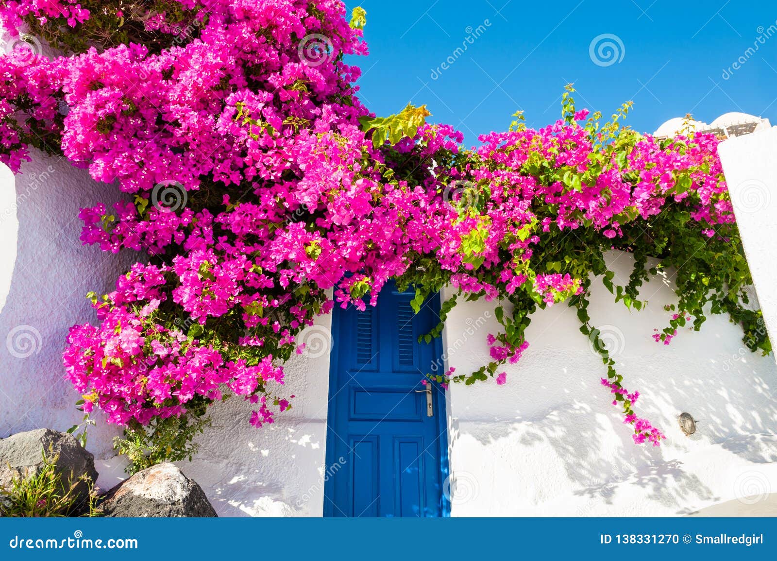 26,401 Flores De Grécia Fotos de stock - Fotos libres de regalías de Dreamstime 26,401 Flores De Grécia Fotos de stock - Fotos libres de regalías de Dreamstime
