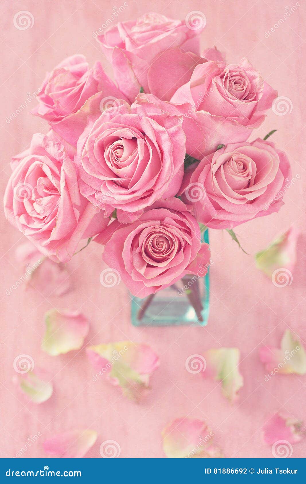 Flores Rosadas Hermosas De Las Rosas Foto de archivo - Imagen de travieso,  belleza: 81886692