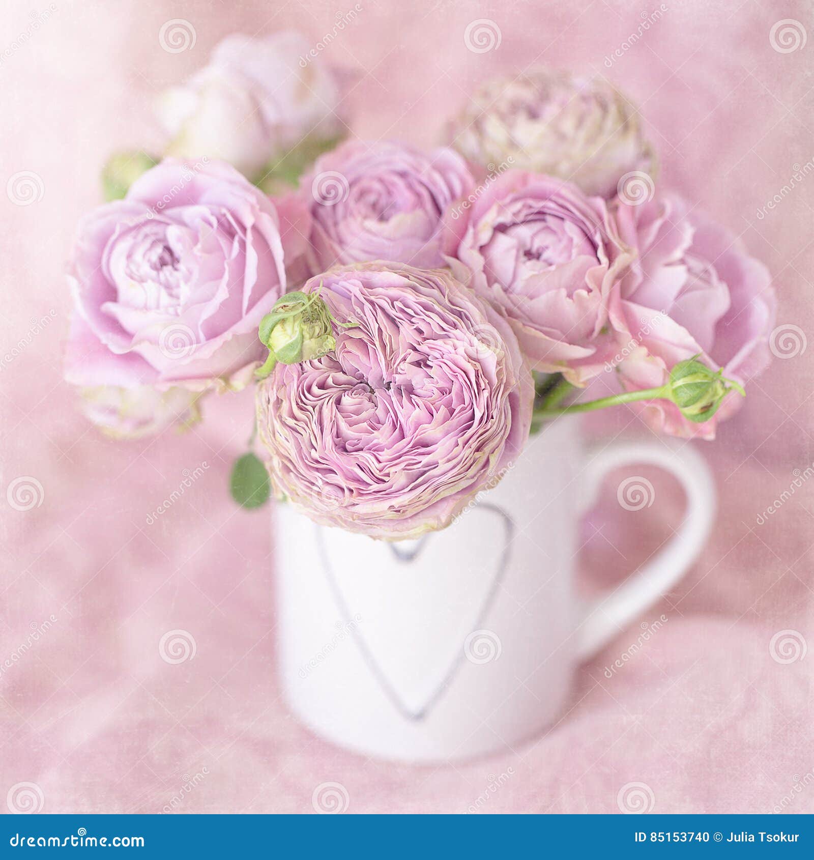 Flores Rosadas Hermosas De Las Rosas Foto de archivo - Imagen de fresco, flores: 85153740 Flores Rosadas Hermosas De Las Rosas Foto de archivo - Imagen de fresco, flores: 85153740