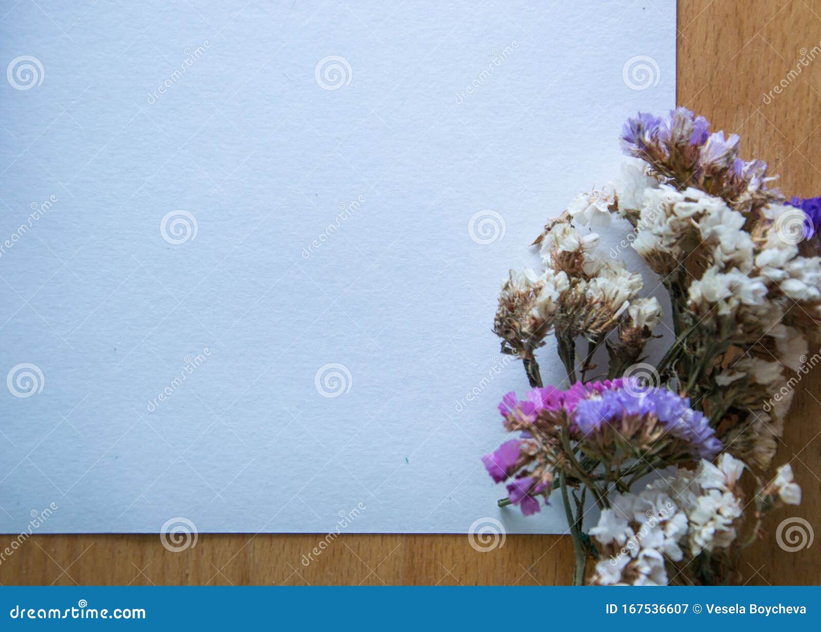 Flores Secas Multicolores Sobre Fondo De Madera, Planta De Estatia De Limón  Colorida Con Espacio Para Copiar, Papel Blanco En Bla Imagen de archivo -  Imagen de fondos, mezclado: 167536607