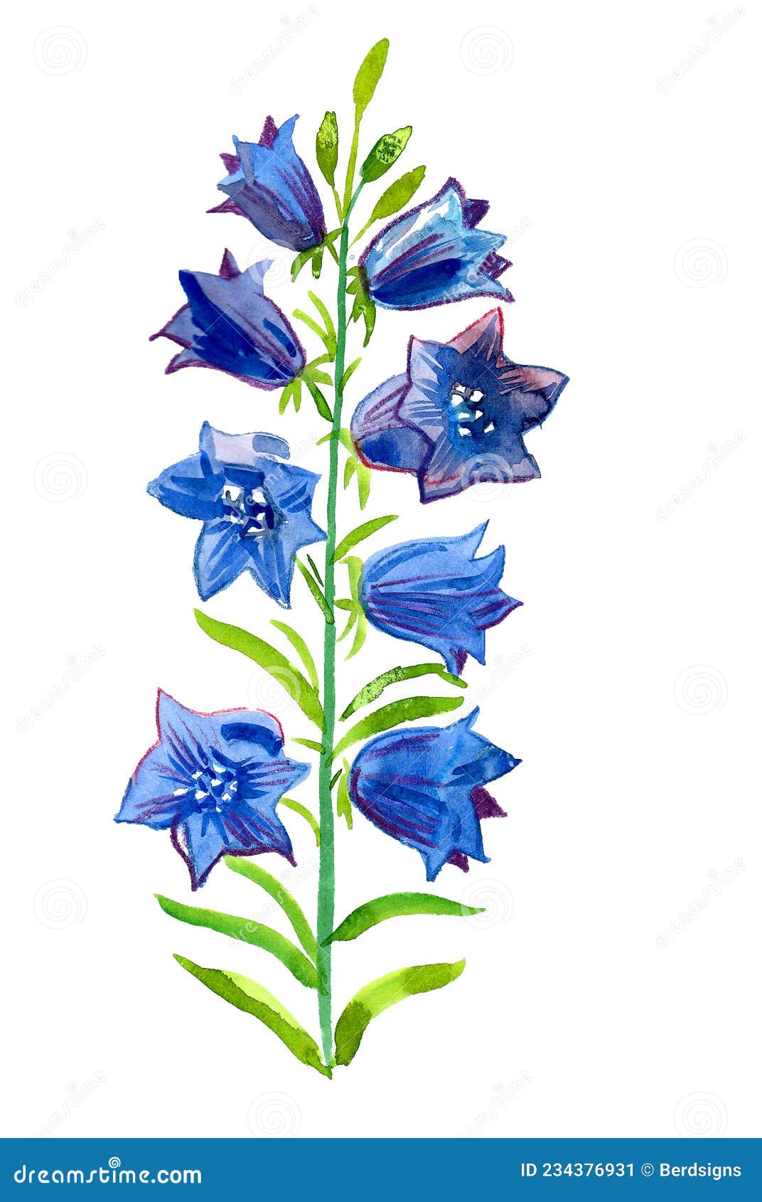 Flores silvestres azules stock de ilustración. Ilustración de tinta - 234376931 Flores silvestres azules stock de ilustración. Ilustración de tinta - 234376931