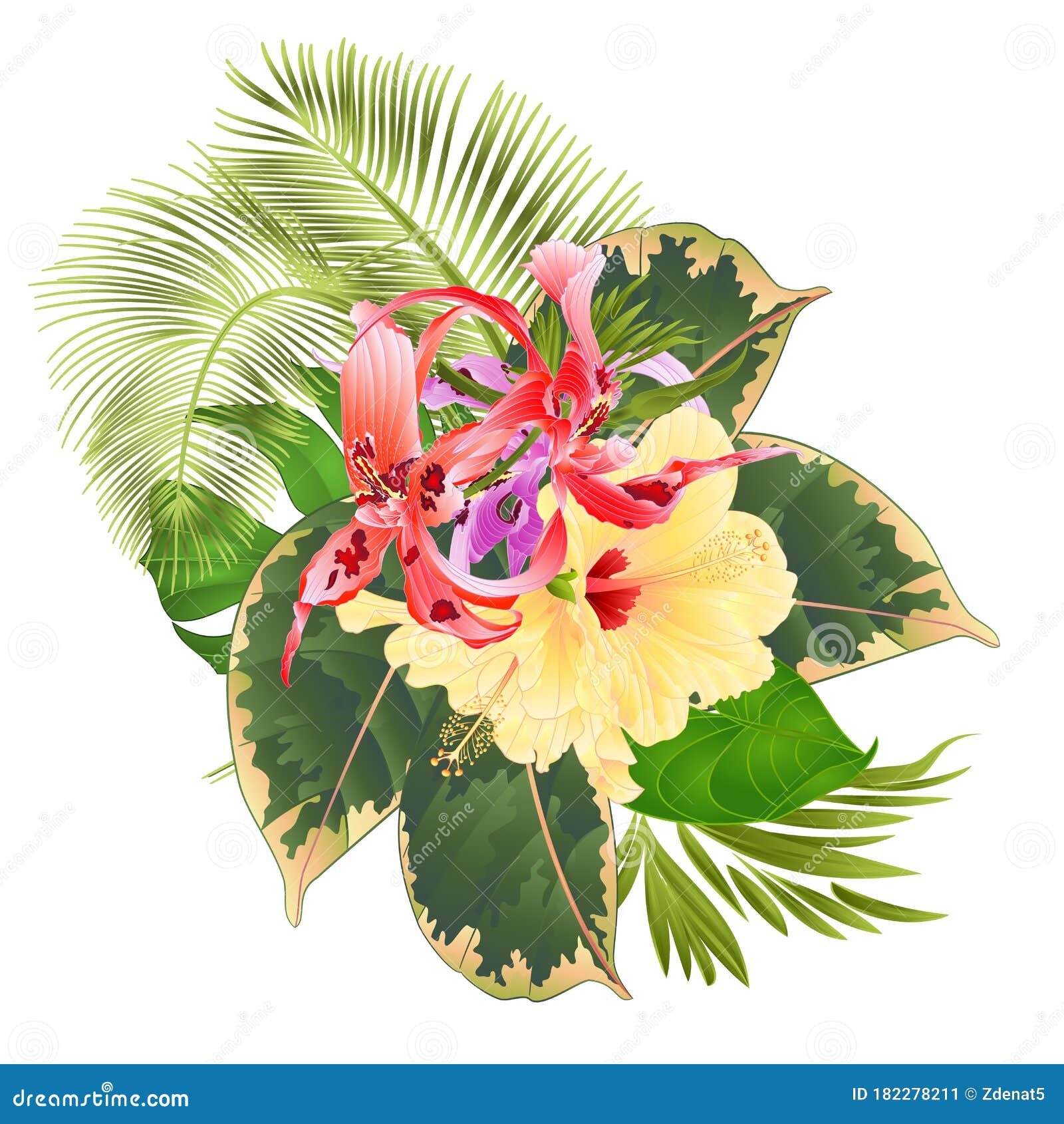 Flores Tropicais Arranjo Floral Com Orquídea Dendrobium Nobile Púrpura  Vermelha, Branca E Amarela Ilustração do Vetor - Ilustração de palma, roxo:  182278211