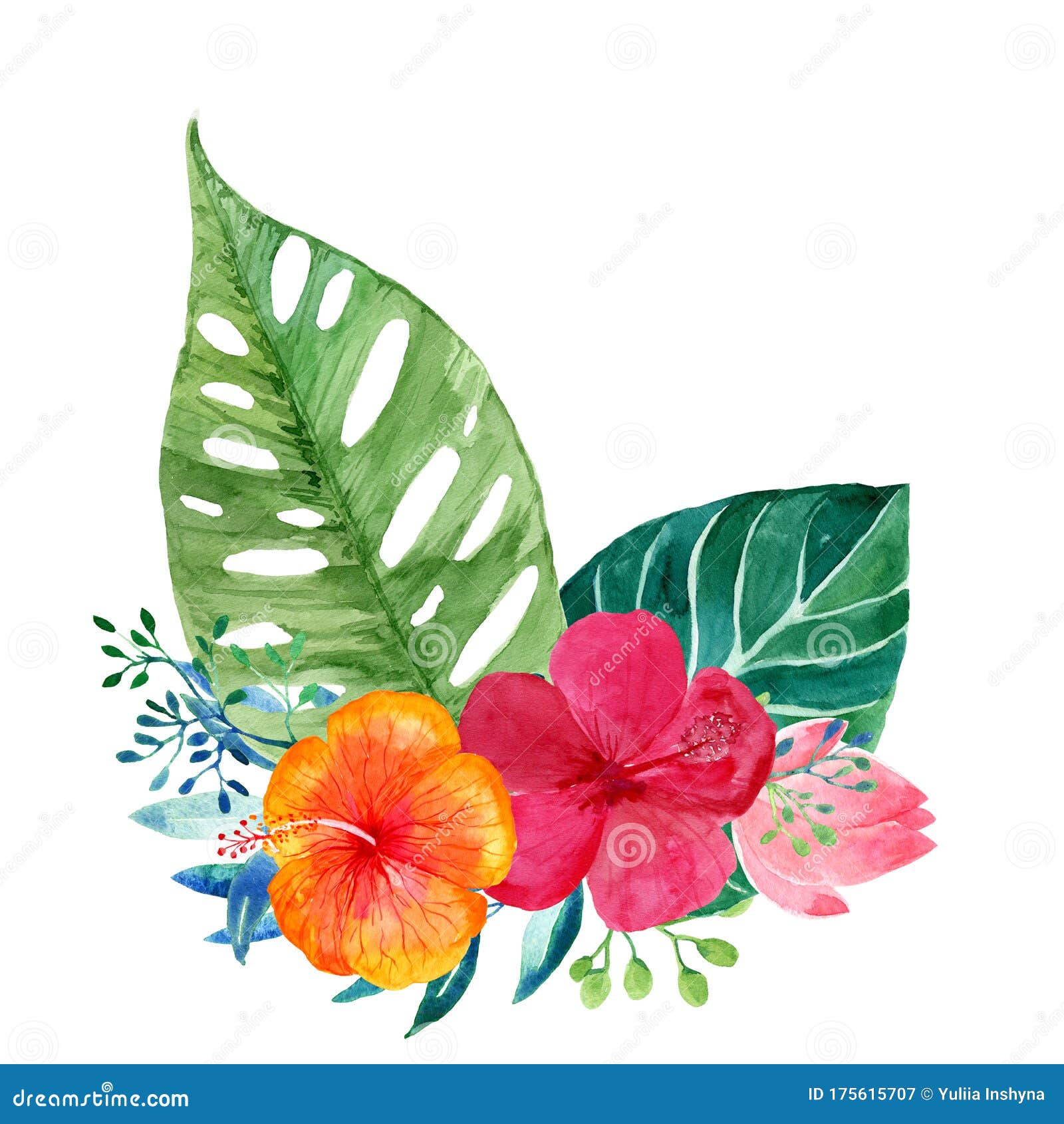 Flores Tropicais De Aquarela E Folhas Lindas, Isoladas Imagem de Stock -  Imagem de pintura, isolado: 175615707