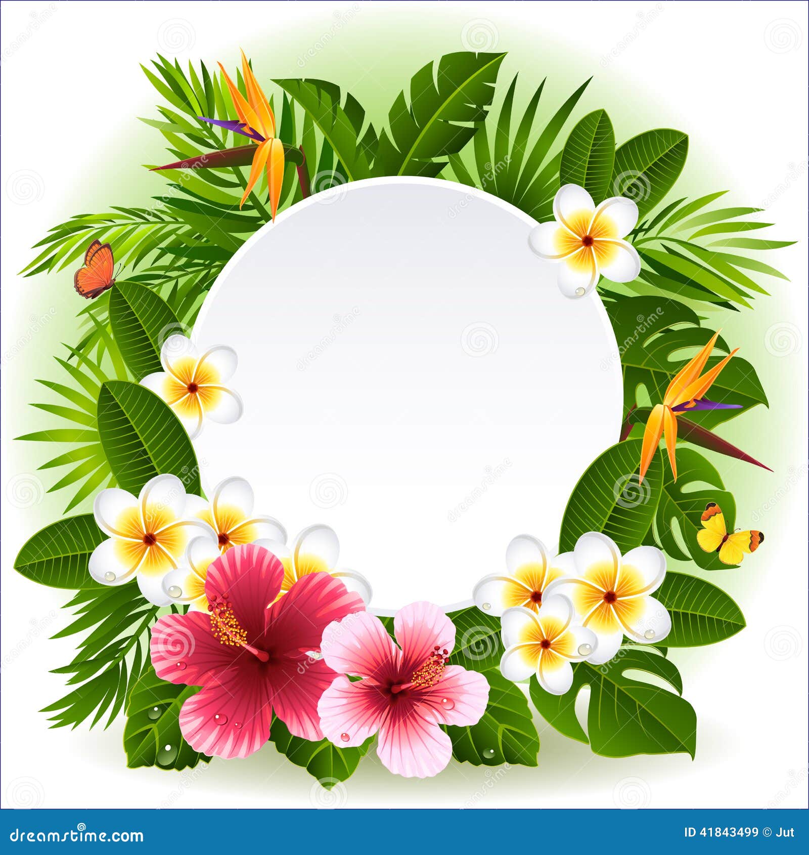 Flores tropicales ilustración del vector. Ilustración de cubo - 41843499 Flores tropicales ilustración del vector. Ilustración de cubo - 41843499