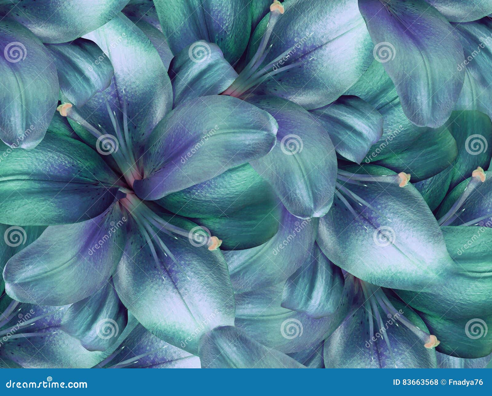 Flores Turquesa-azuis Do Lírio Fundo Brilhante De Turquesa Colagem Floral  Composição Da Flor Ilustração Stock - Ilustração de pétalas, frescor:  83663568