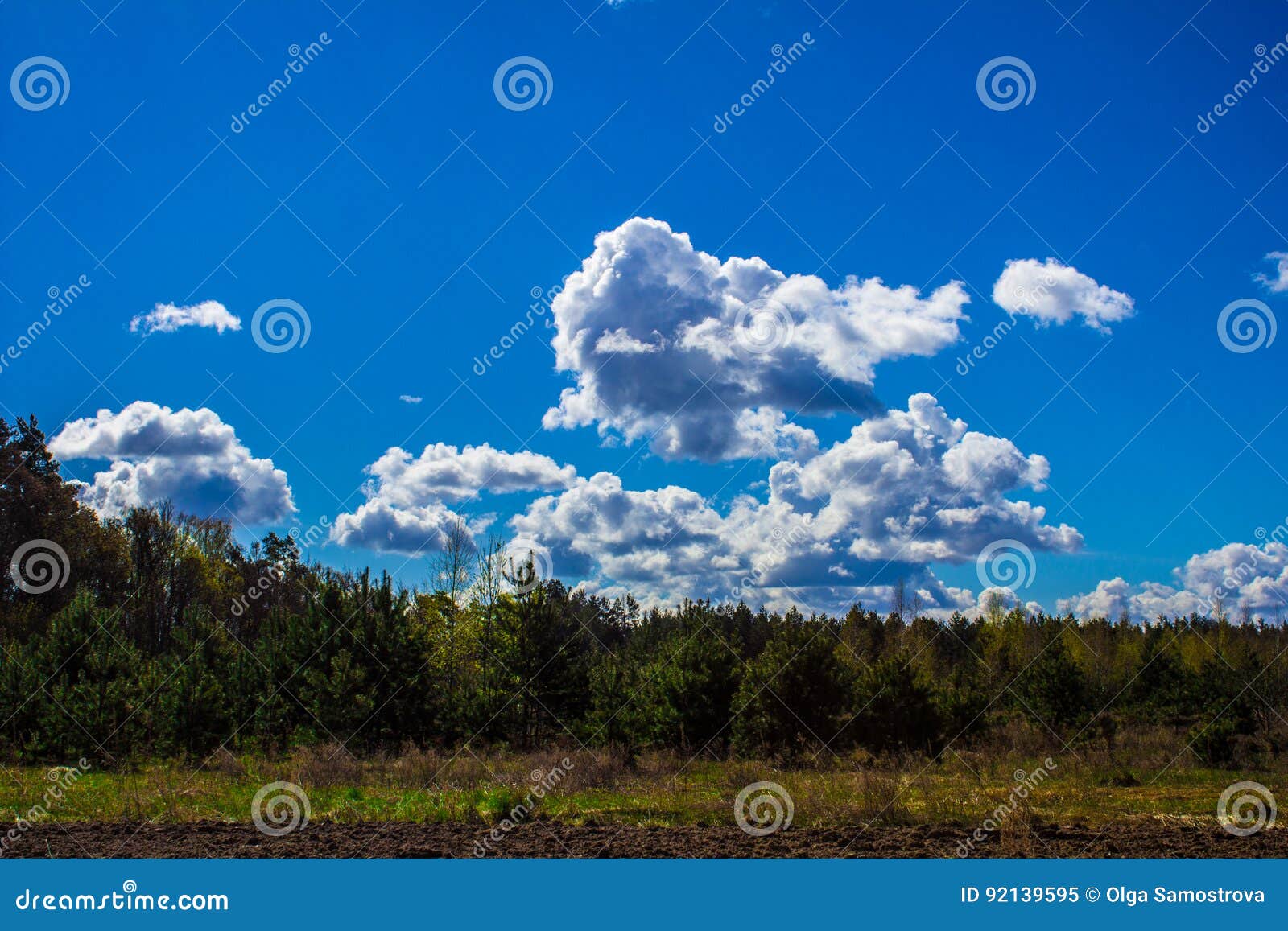 Floresta Campo Ceu E Nuvens Bonitos Da Paisagem Fundo Imagem De Stock Imagem De Bonitos Paisagem 92139595