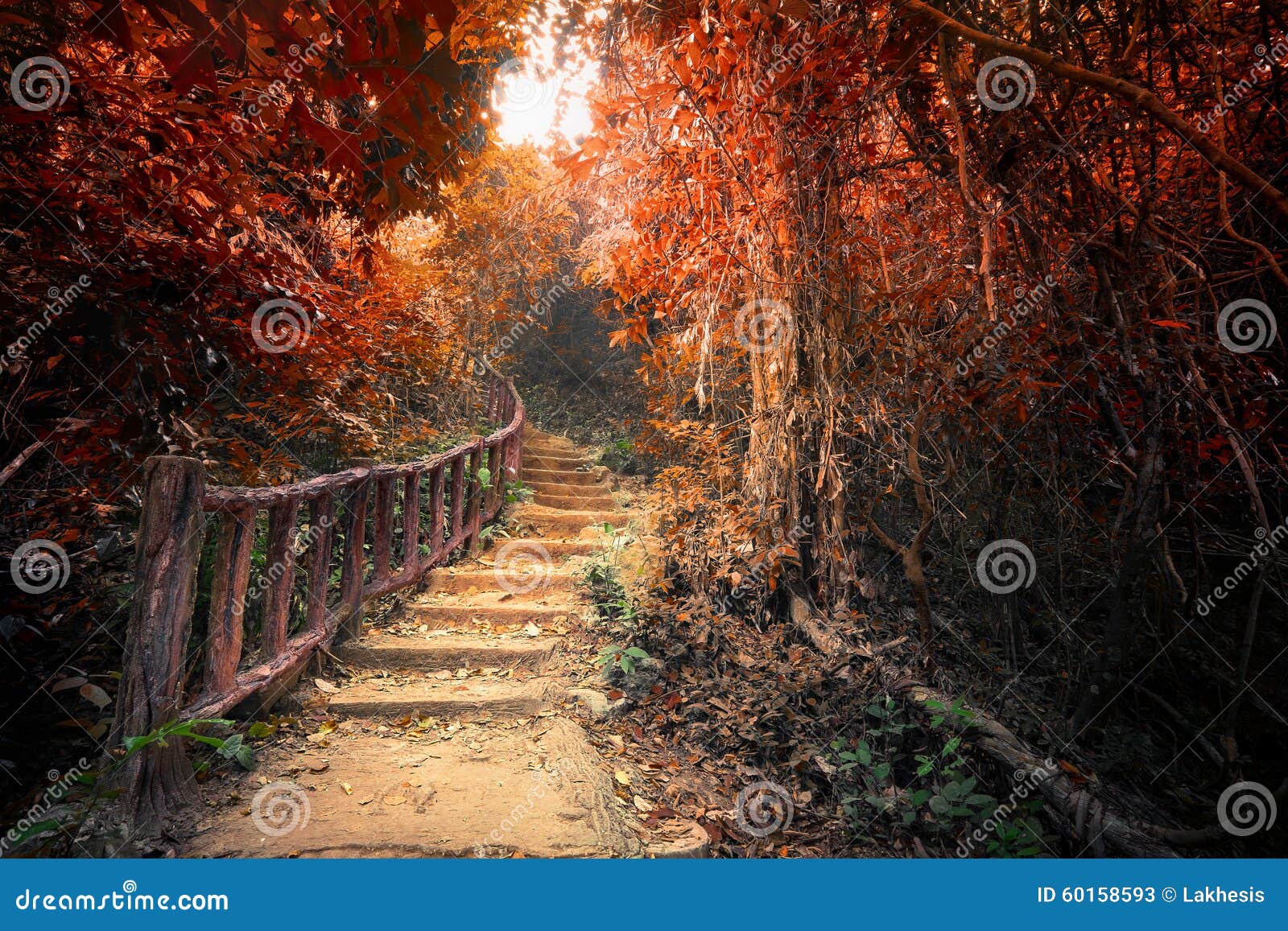 Floresta Escura Paisagem Panorama Fantasia Estilo Anime Estilo