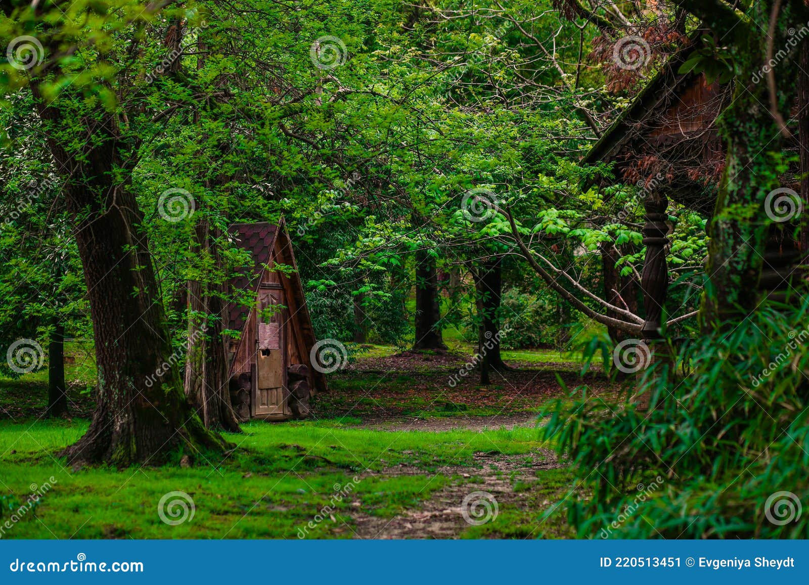 Uma linda floresta encantada de conto de fadas com grandes árvores