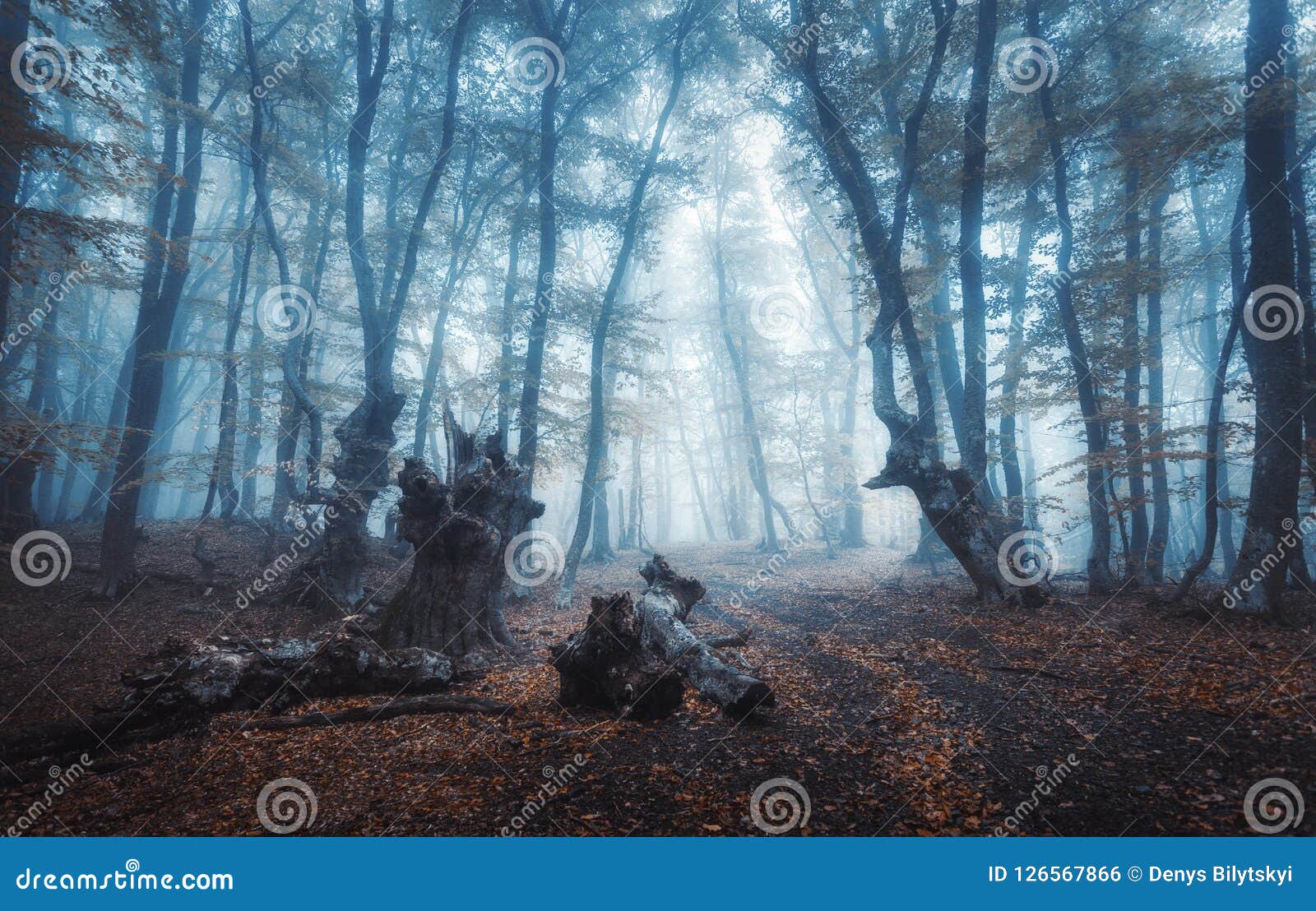 Ajardine a floresta escura no fundo da ilustração do estilo do