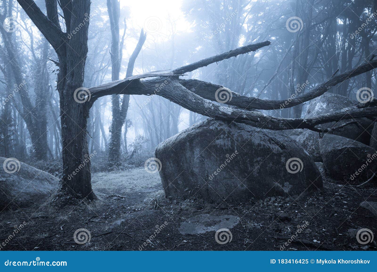 Paisagem Da Noite Com Colinas, Floresta Escura, Abeto-árvores