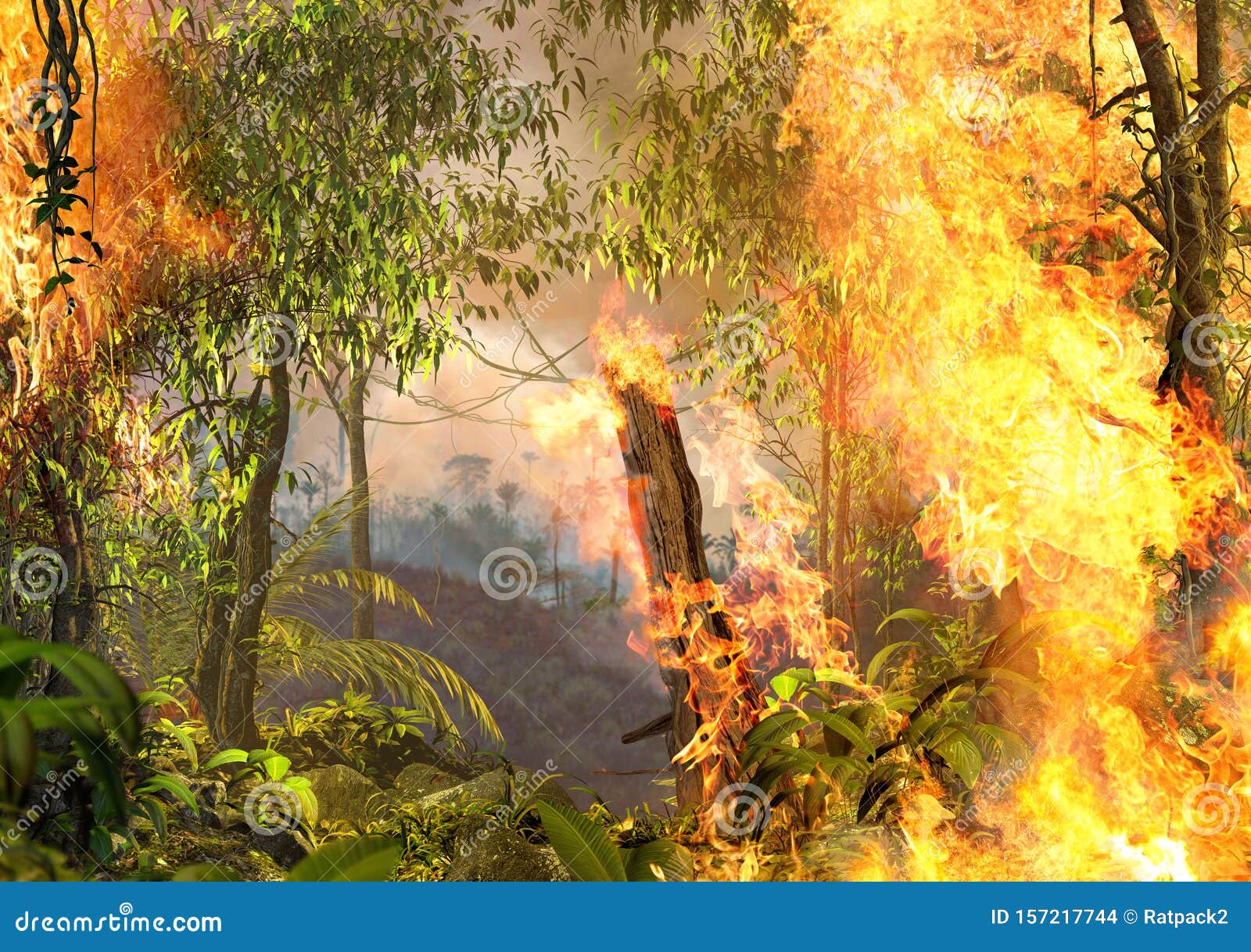 Queima de incêndio à noite, fogo na floresta, Vetor Grátis