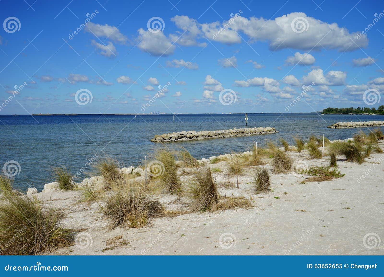 Florida apollo beach stock image. Image of bird, diver 63652655